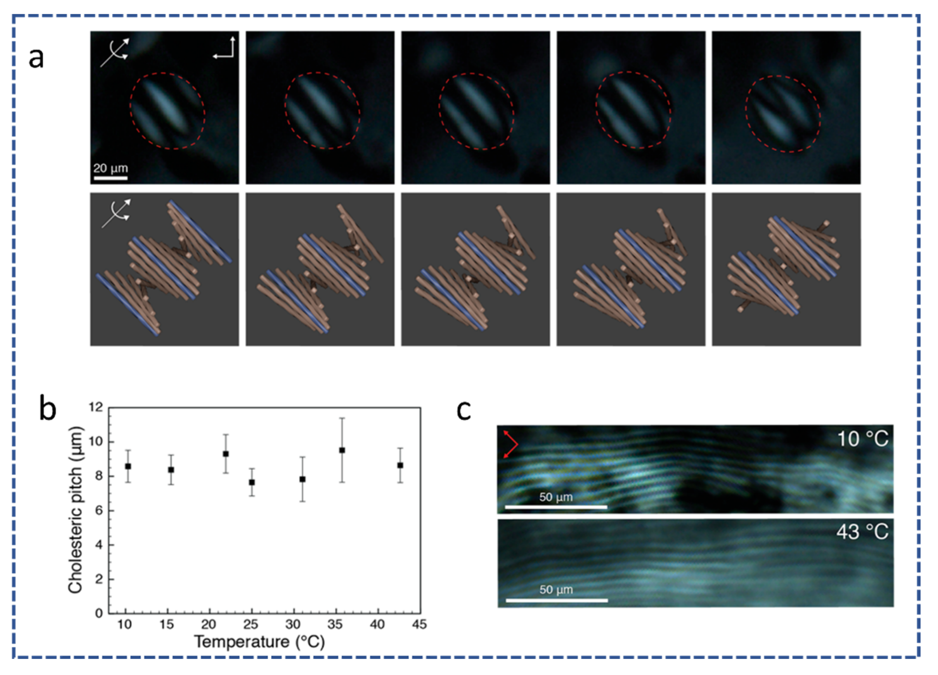 Applied Biosciences Free Full Text Cellulose Nanocrystals Cnc Liquid Crystalline State In Suspension An Overview Html