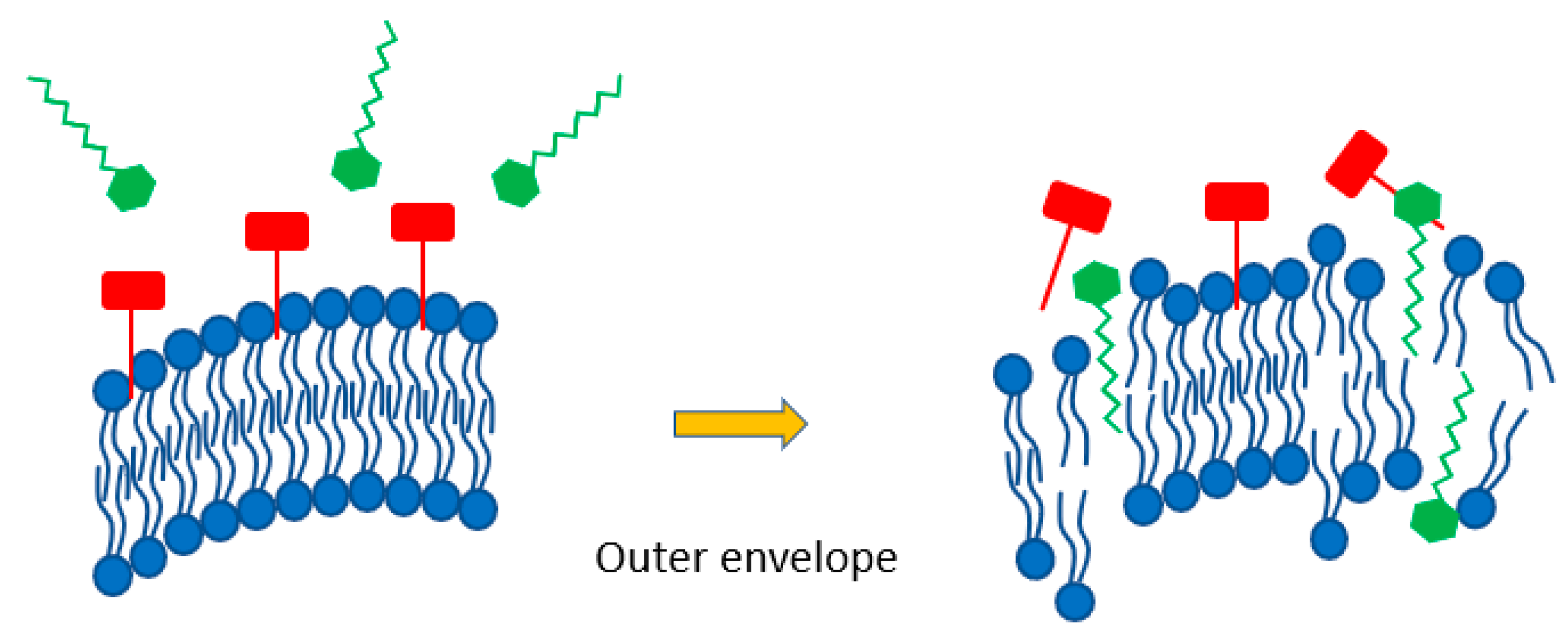 Applbiosci 01 00018 g002 Applbiosci 01 00018 g002