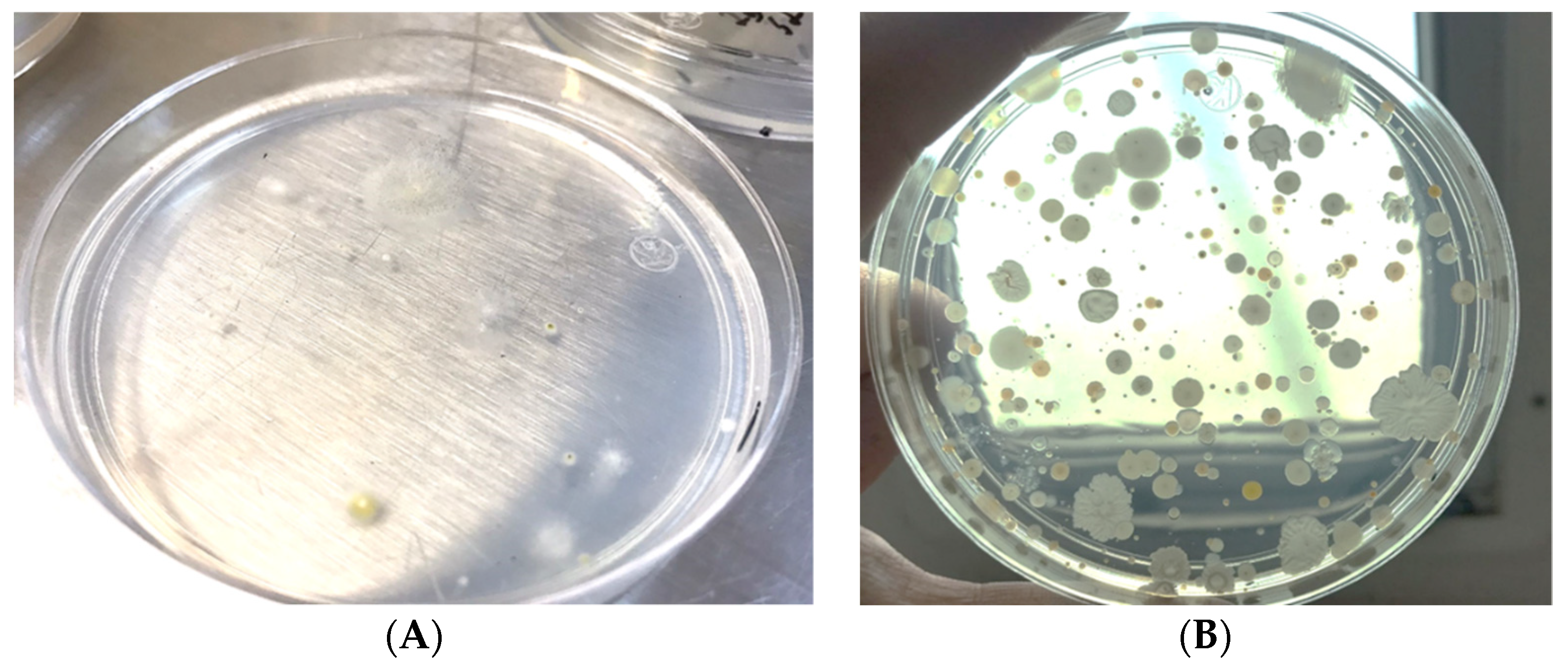 Applbiosci 01 00019 g010 Applbiosci 01 00019 g010