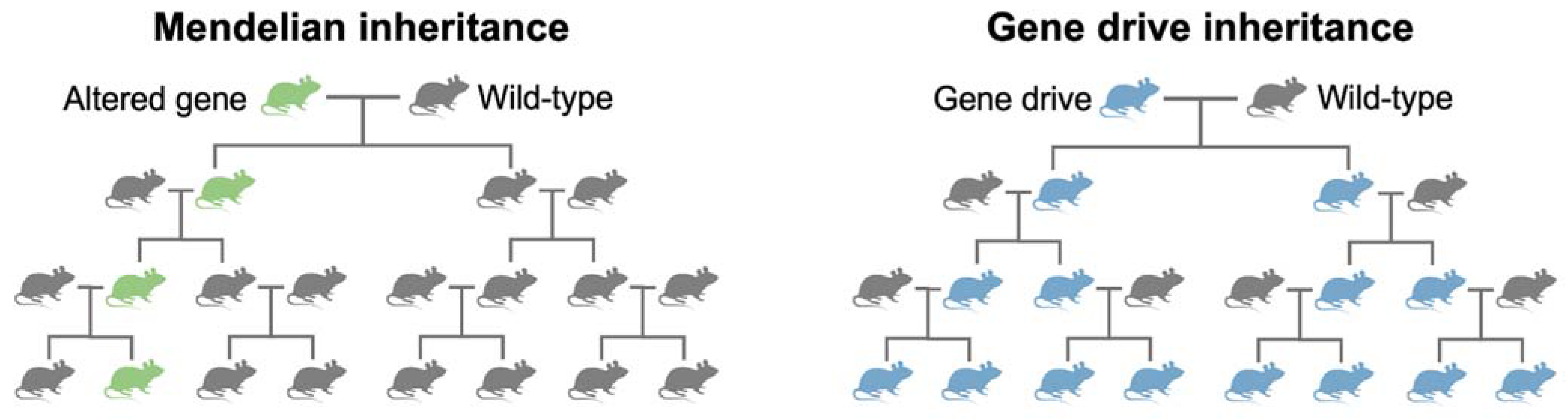 Applbiosci 02 00006 g002 Applbiosci 02 00006 g002