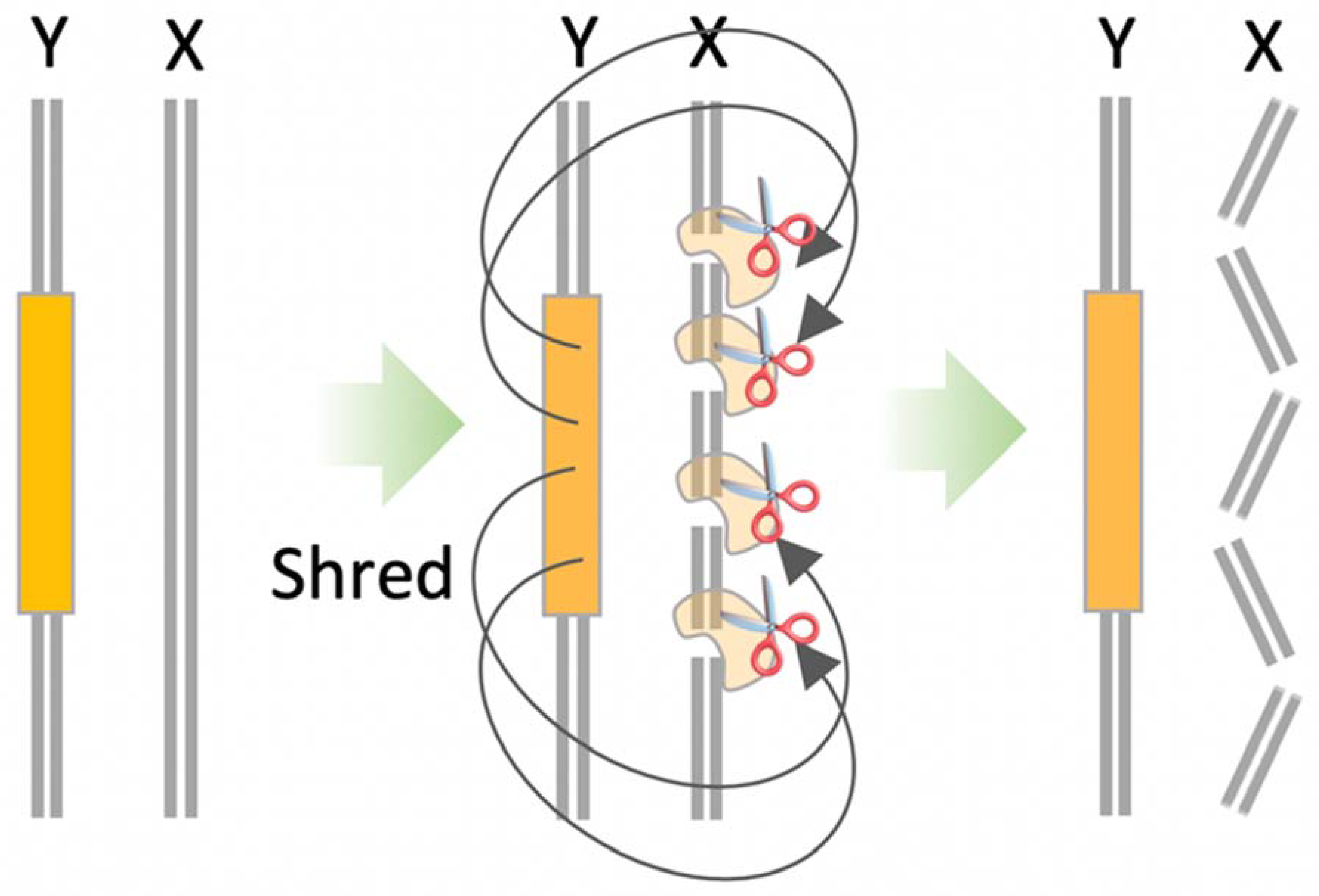 Applbiosci 02 00006 g005 Applbiosci 02 00006 g005