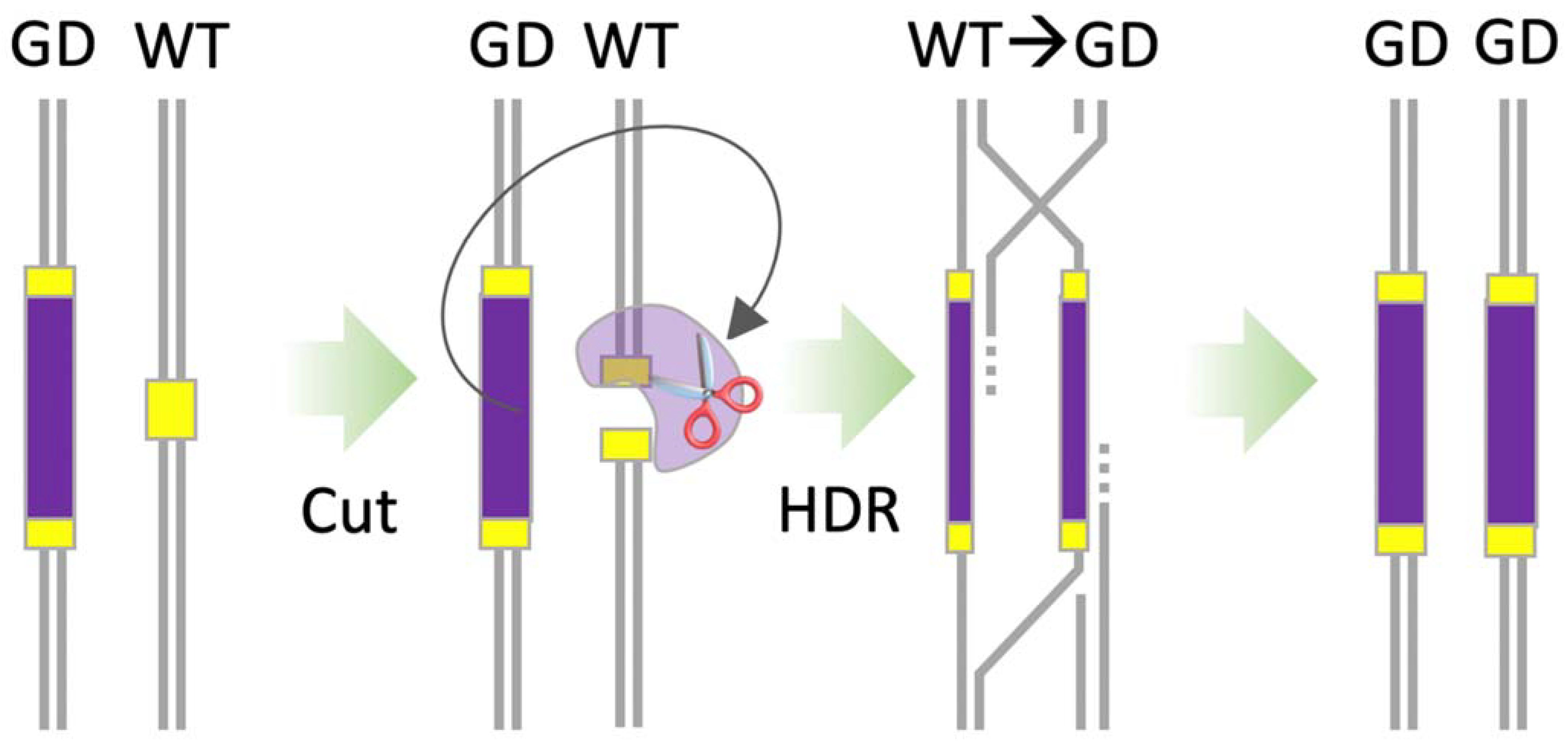 Applbiosci 02 00006 g006 Applbiosci 02 00006 g006