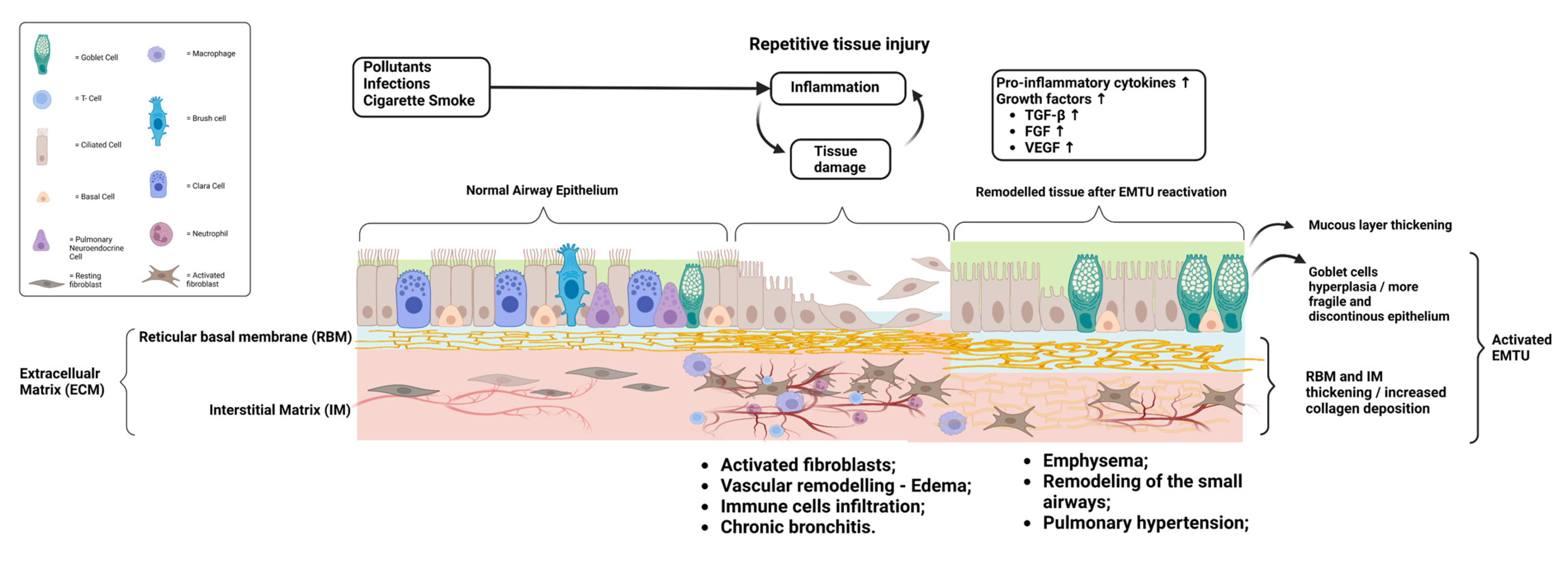 Applbiosci 02 00012 g002 Applbiosci 02 00012 g002