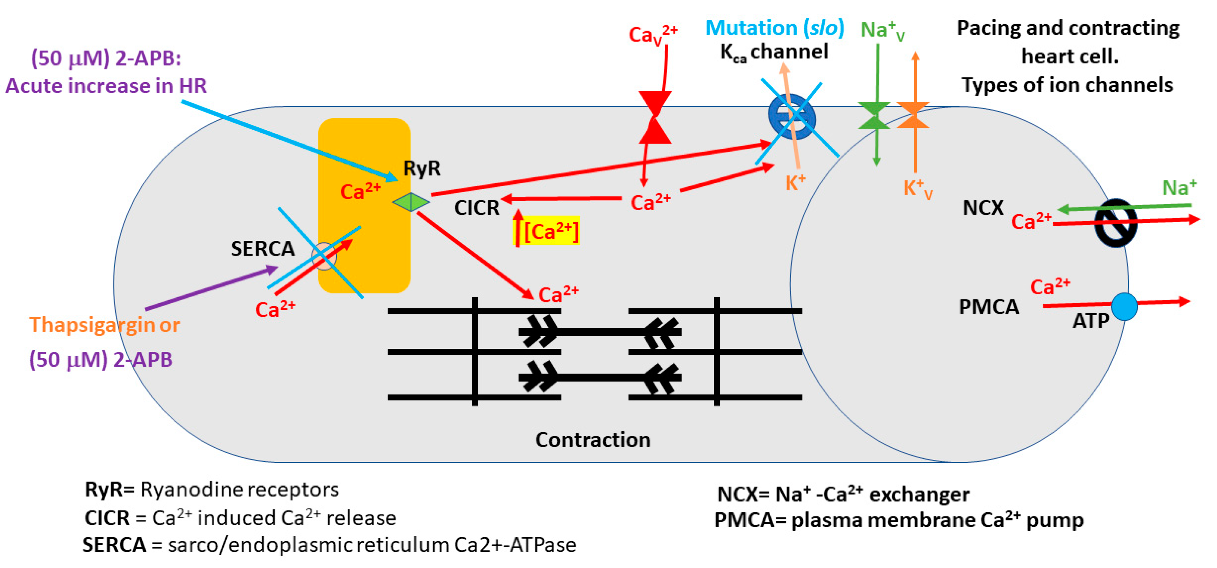 Applbiosci 02 00017 g005