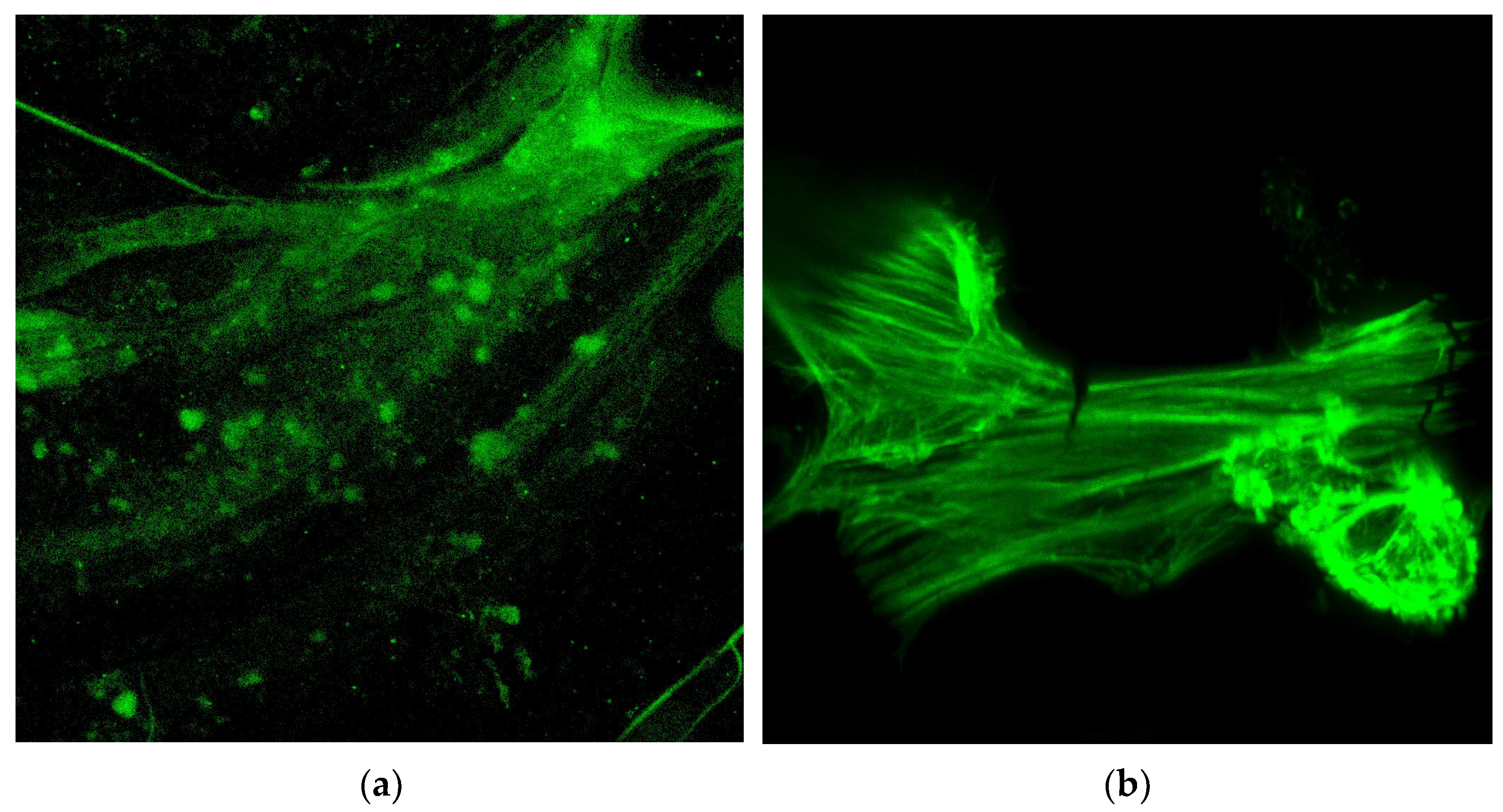 Applbiosci 02 00018 g014a