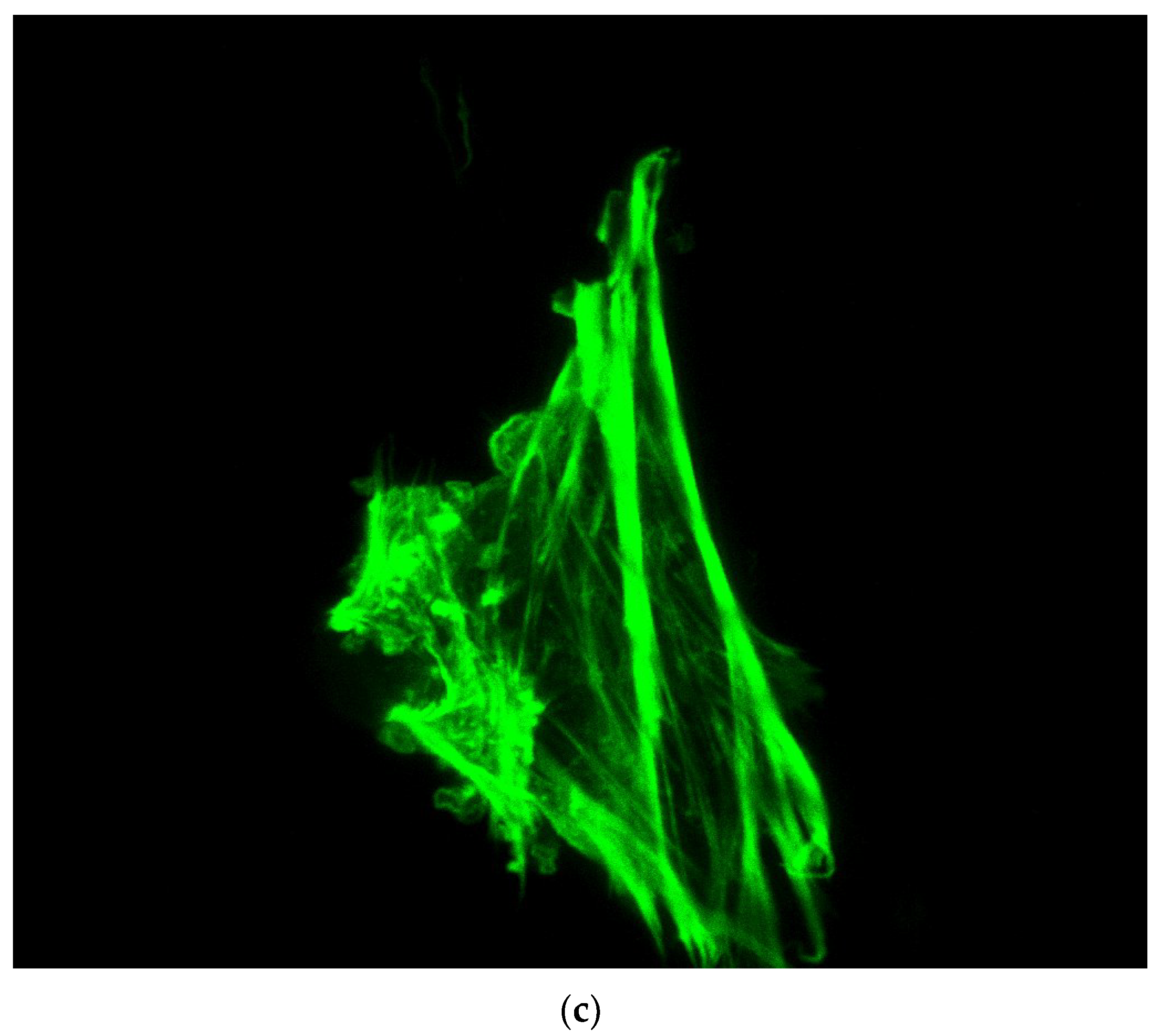Applbiosci 02 00018 g014b