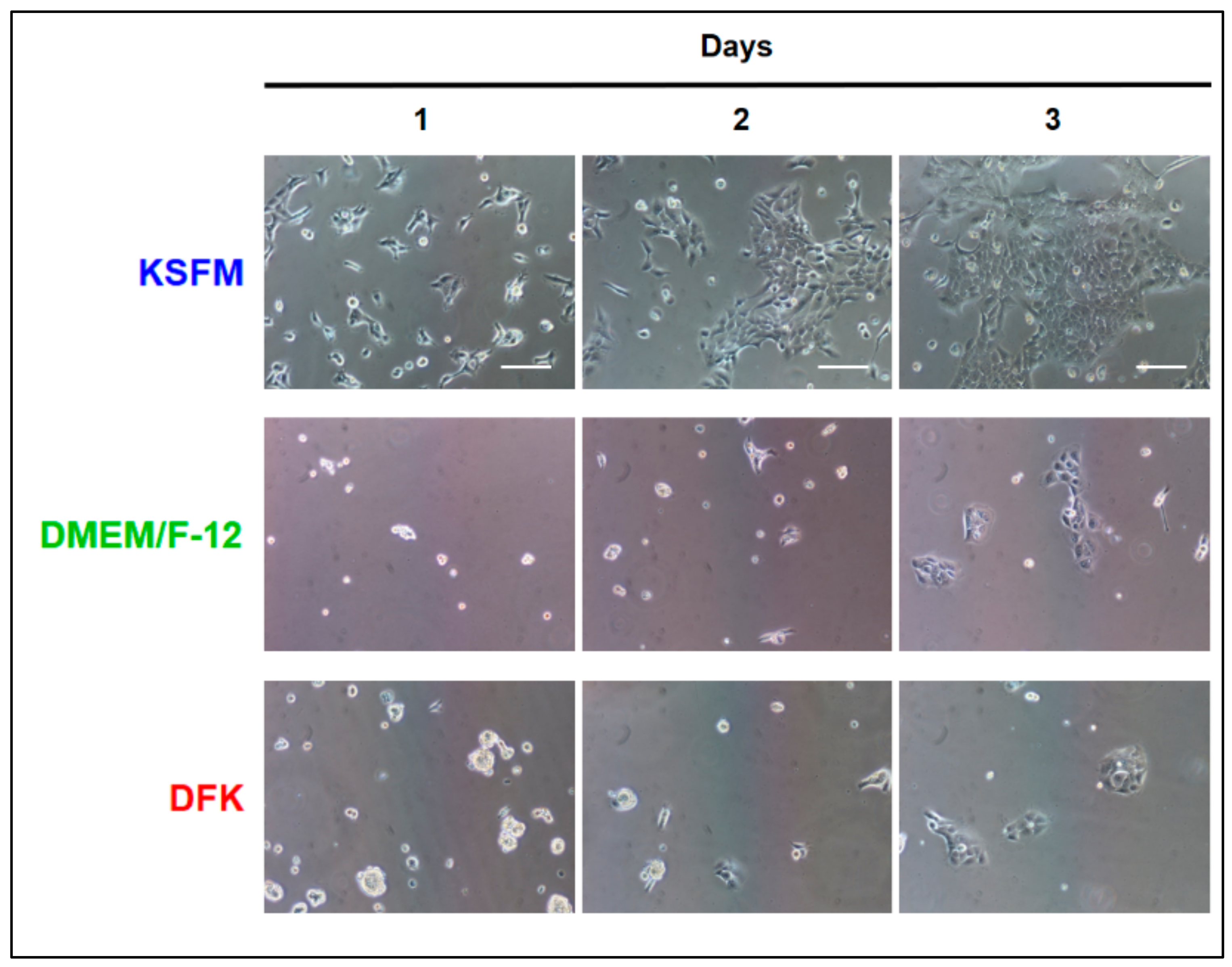 Applbiosci 02 00021 g001