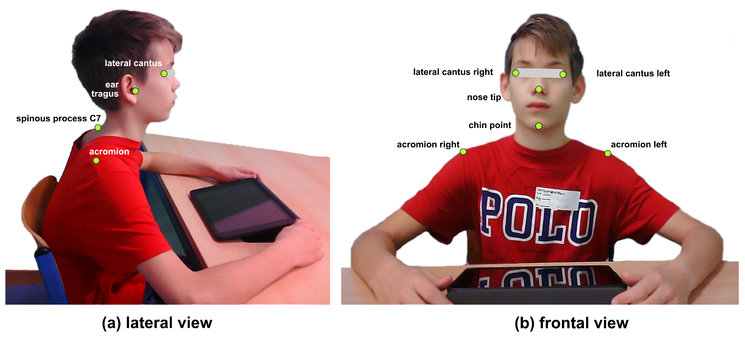 Applbiosci 02 00027 g001