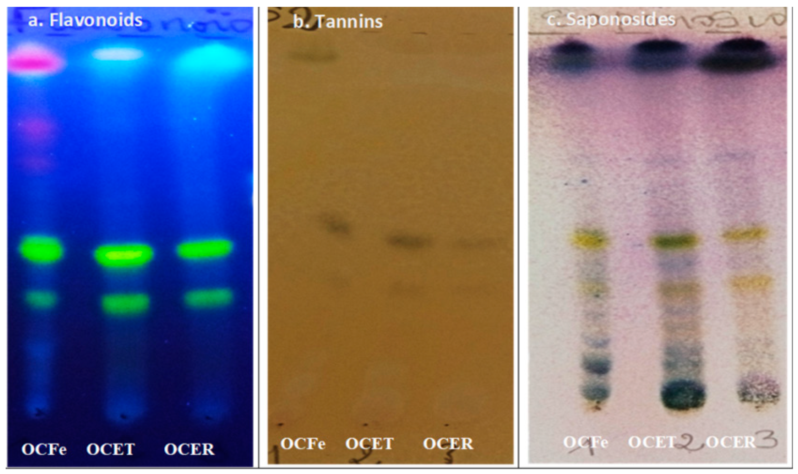 Applbiosci 02 00031 g001
