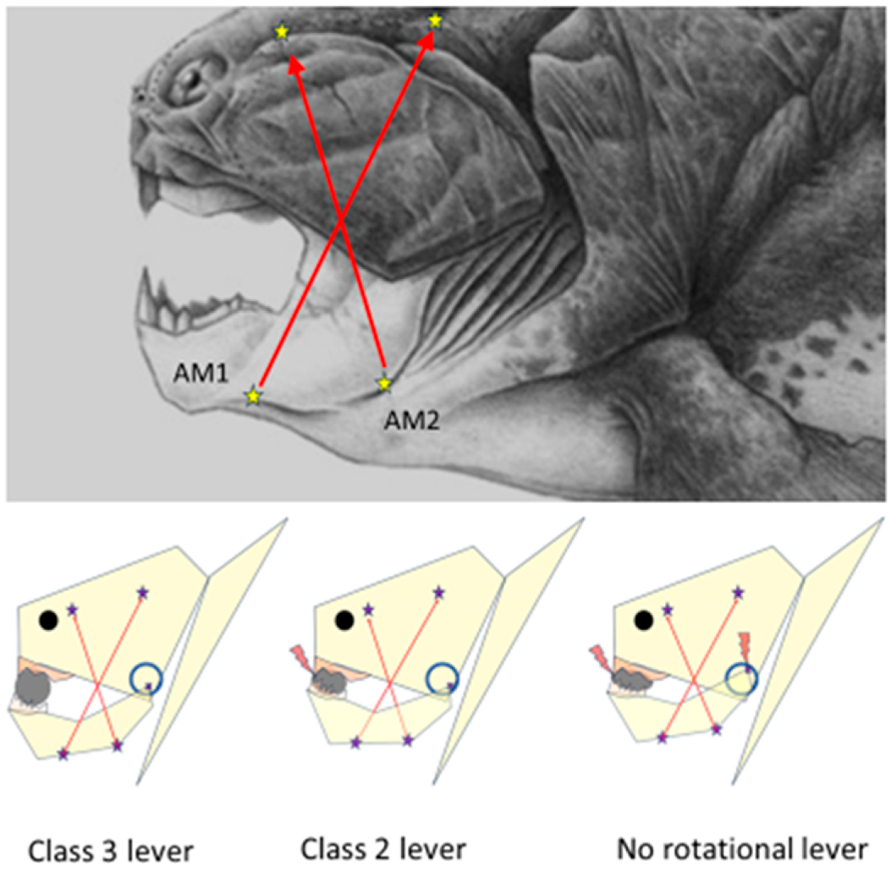 Applbiosci 02 00035 g001