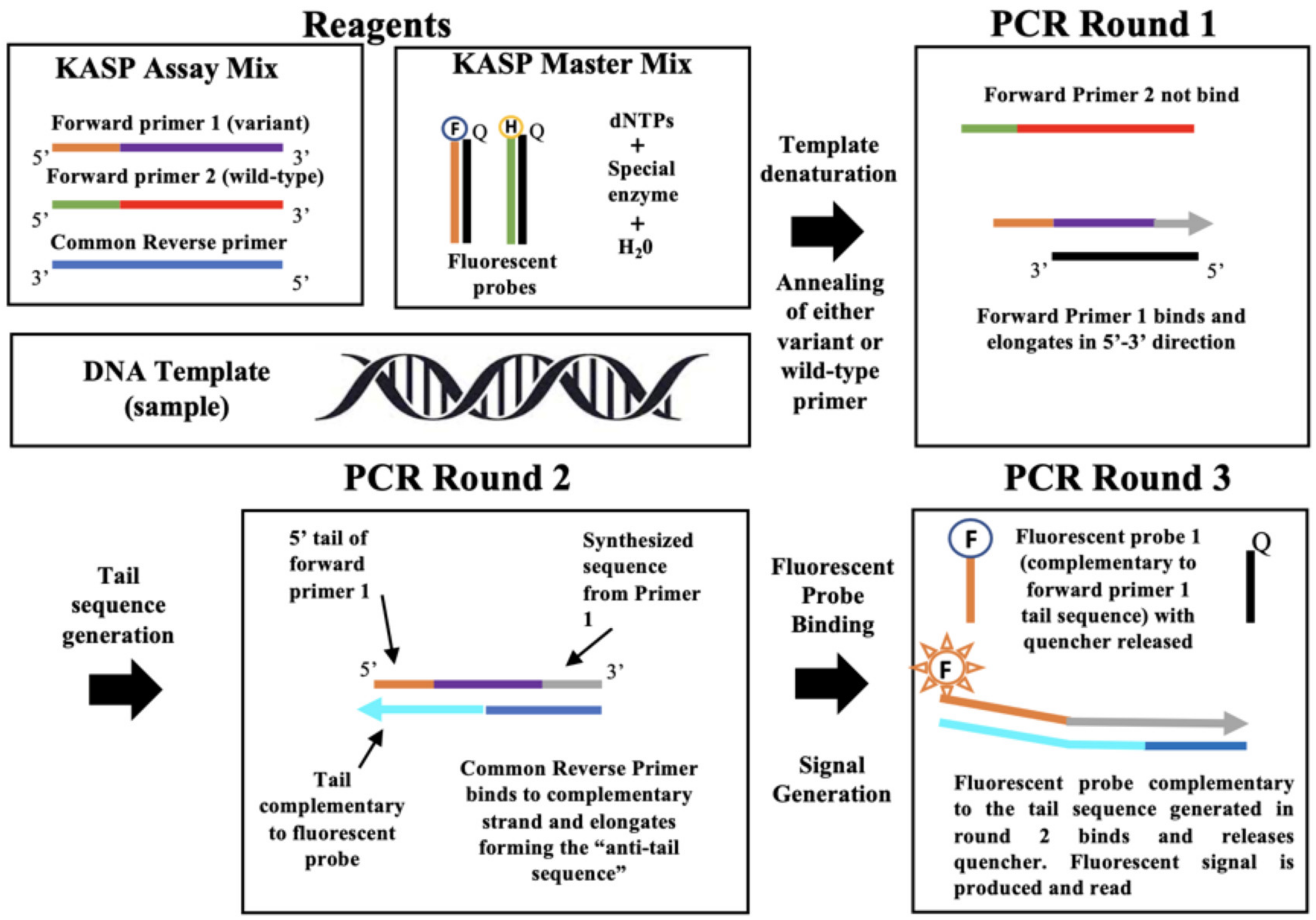Applbiosci 02 00036 g001 Applbiosci 02 00036 g001
