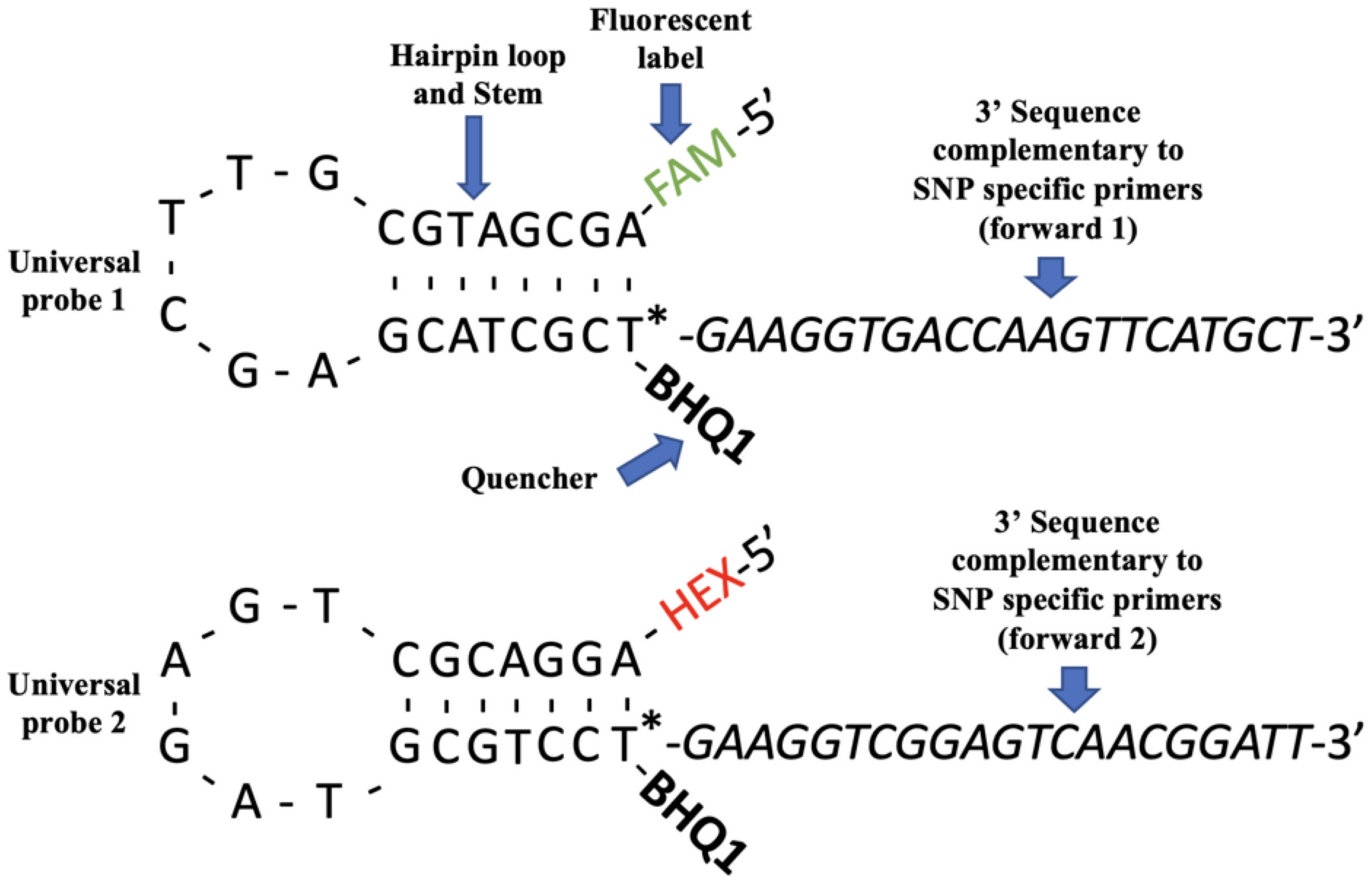Applbiosci 02 00036 g002 Applbiosci 02 00036 g002