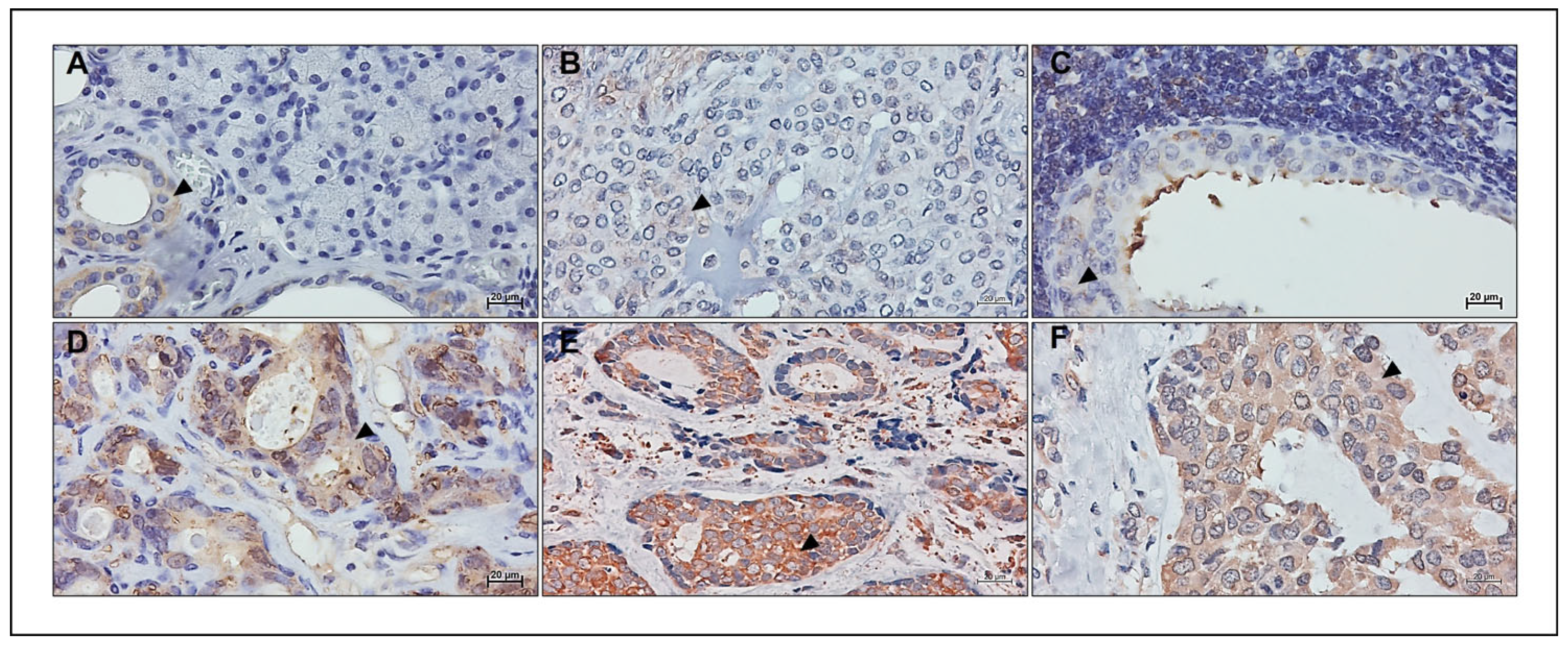Applbiosci 02 00038 g002