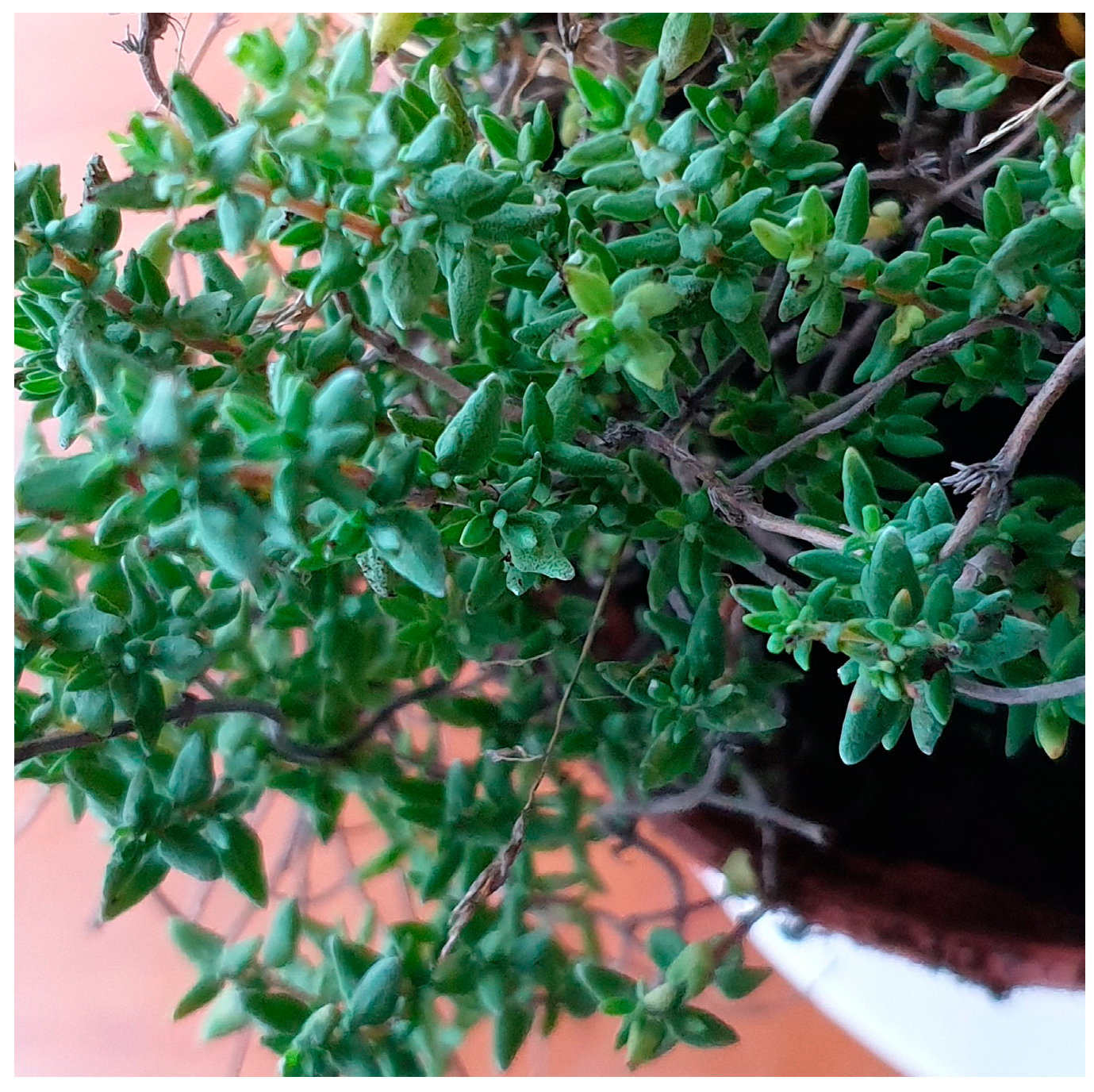 Applbiosci 03 00006 g002