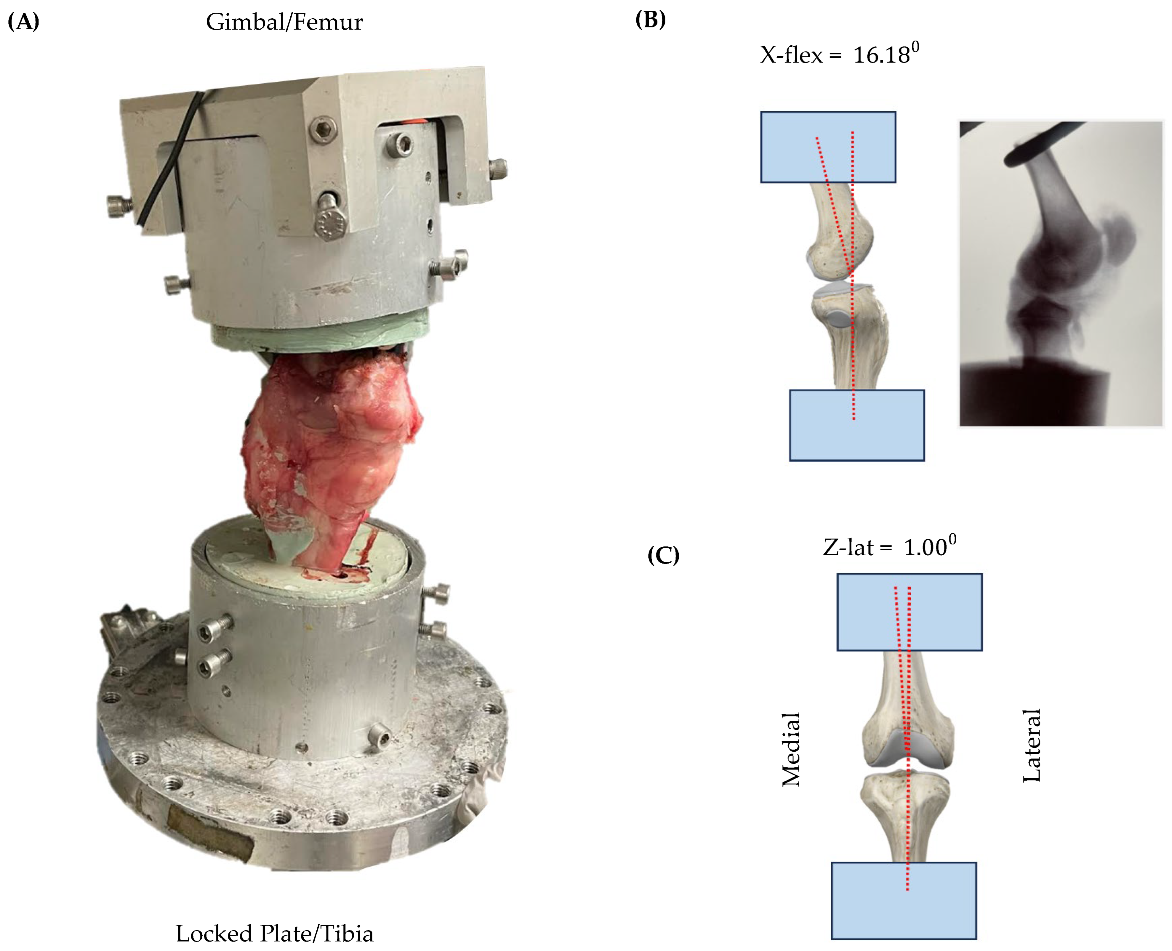 Applbiosci 03 00007 g003 Applbiosci 03 00007 g003