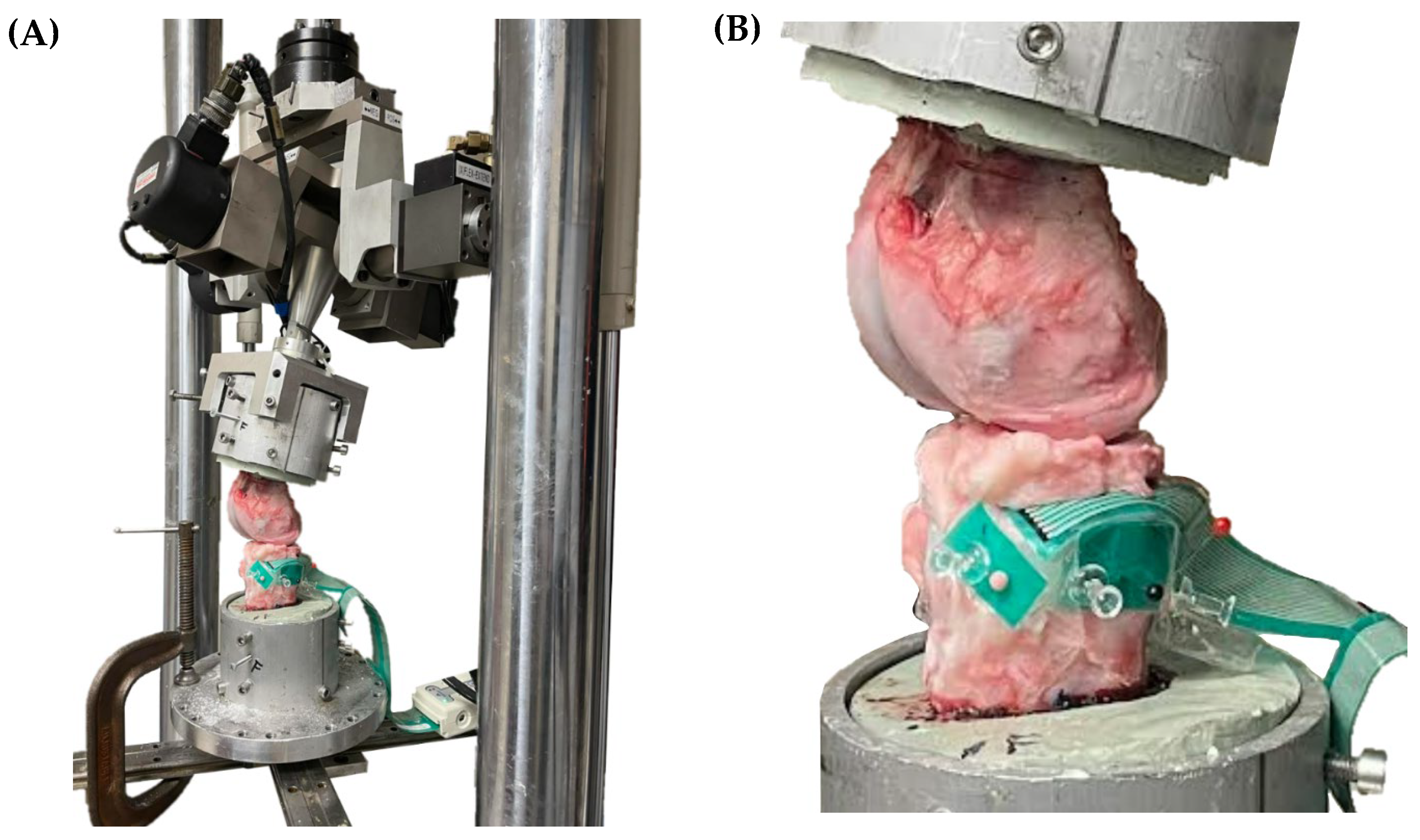Applbiosci 03 00007 g004 Applbiosci 03 00007 g004