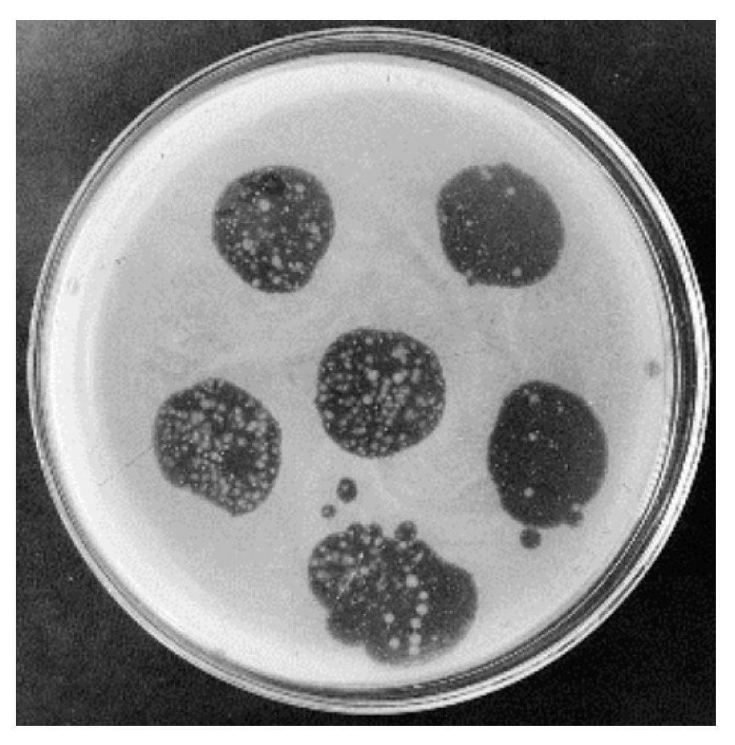 Applbiosci 03 00012 g003