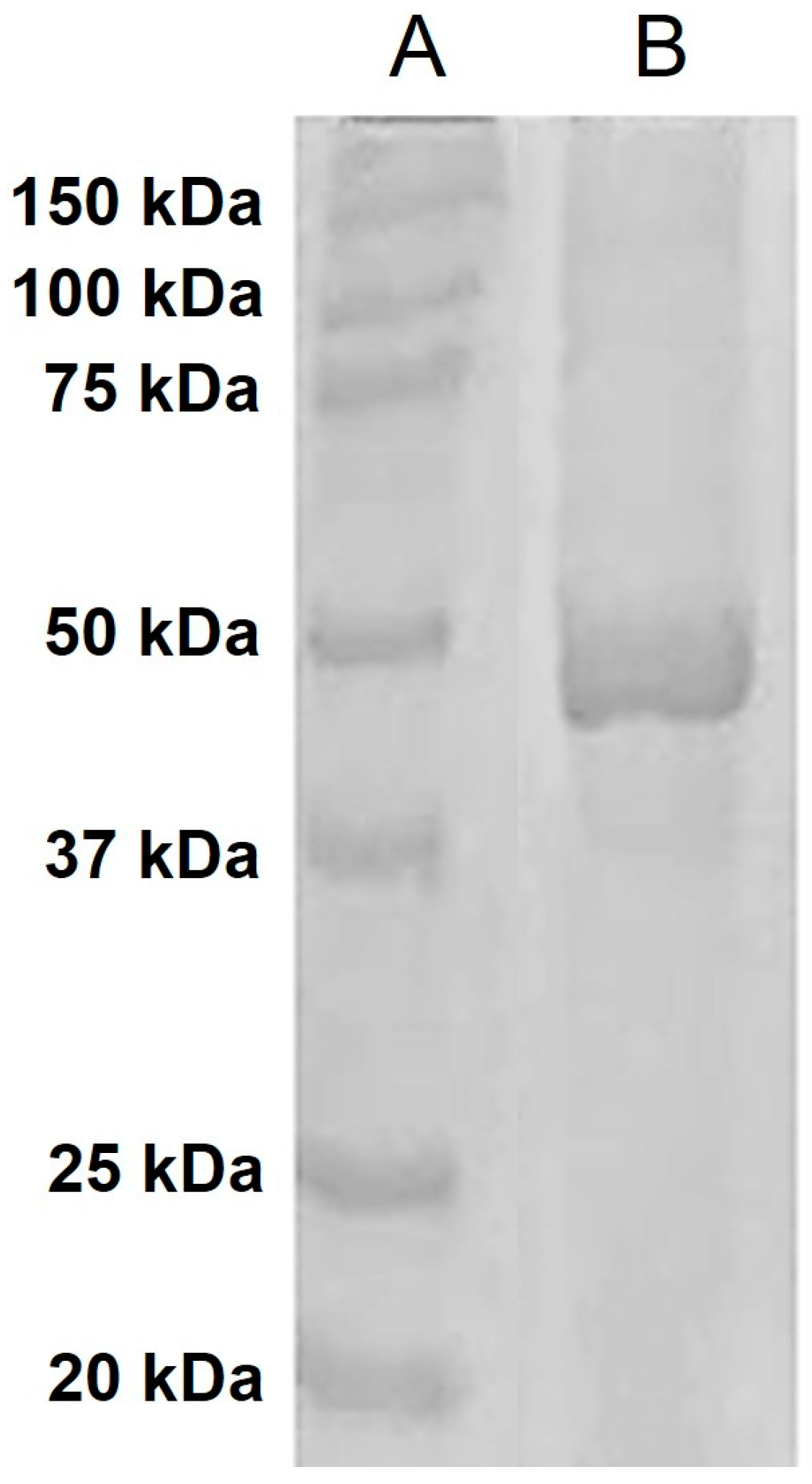 Applbiosci 03 00015 g004 Applbiosci 03 00015 g004