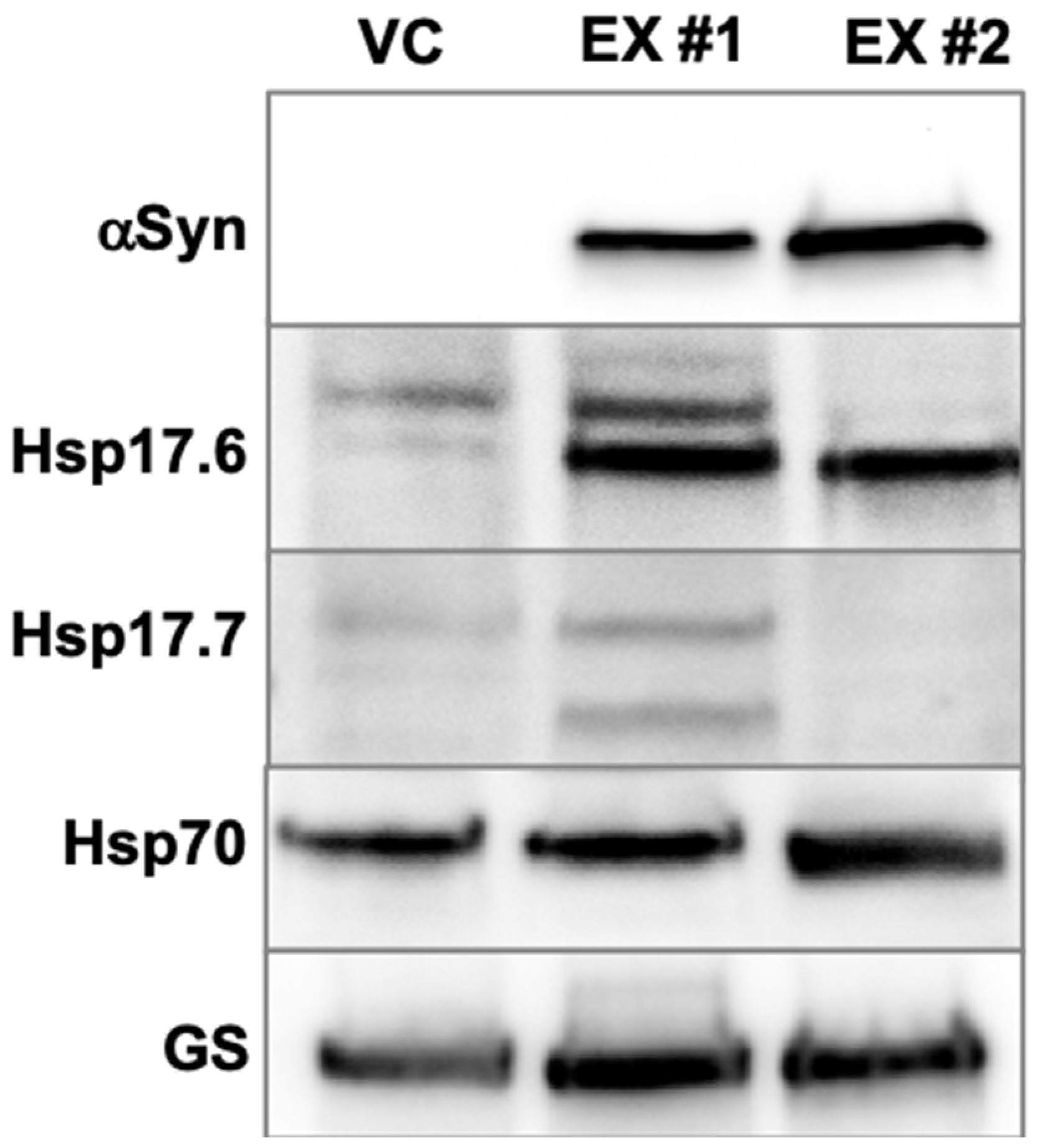 Applbiosci 03 00016 g003 Applbiosci 03 00016 g003