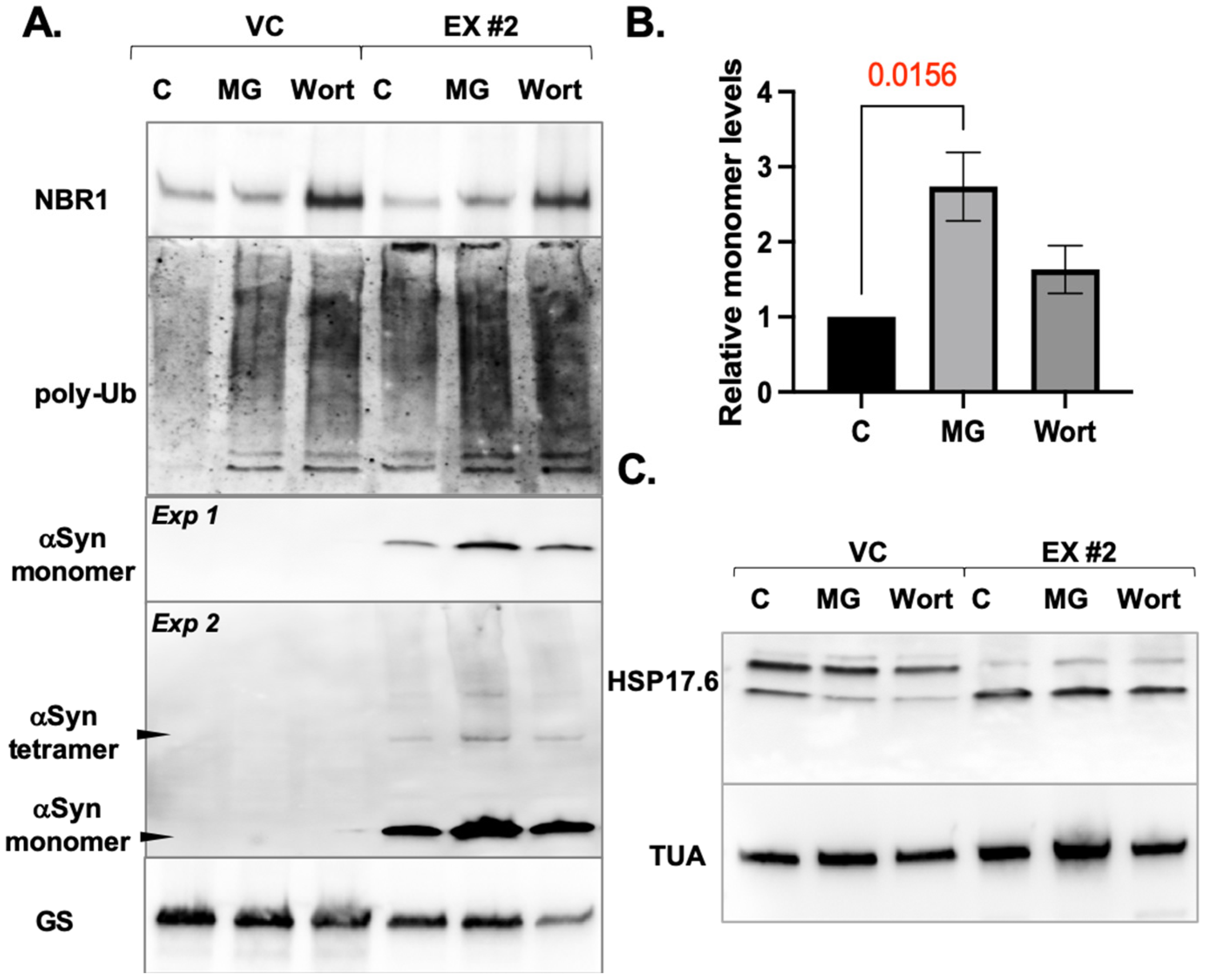 Applbiosci 03 00016 g004 Applbiosci 03 00016 g004