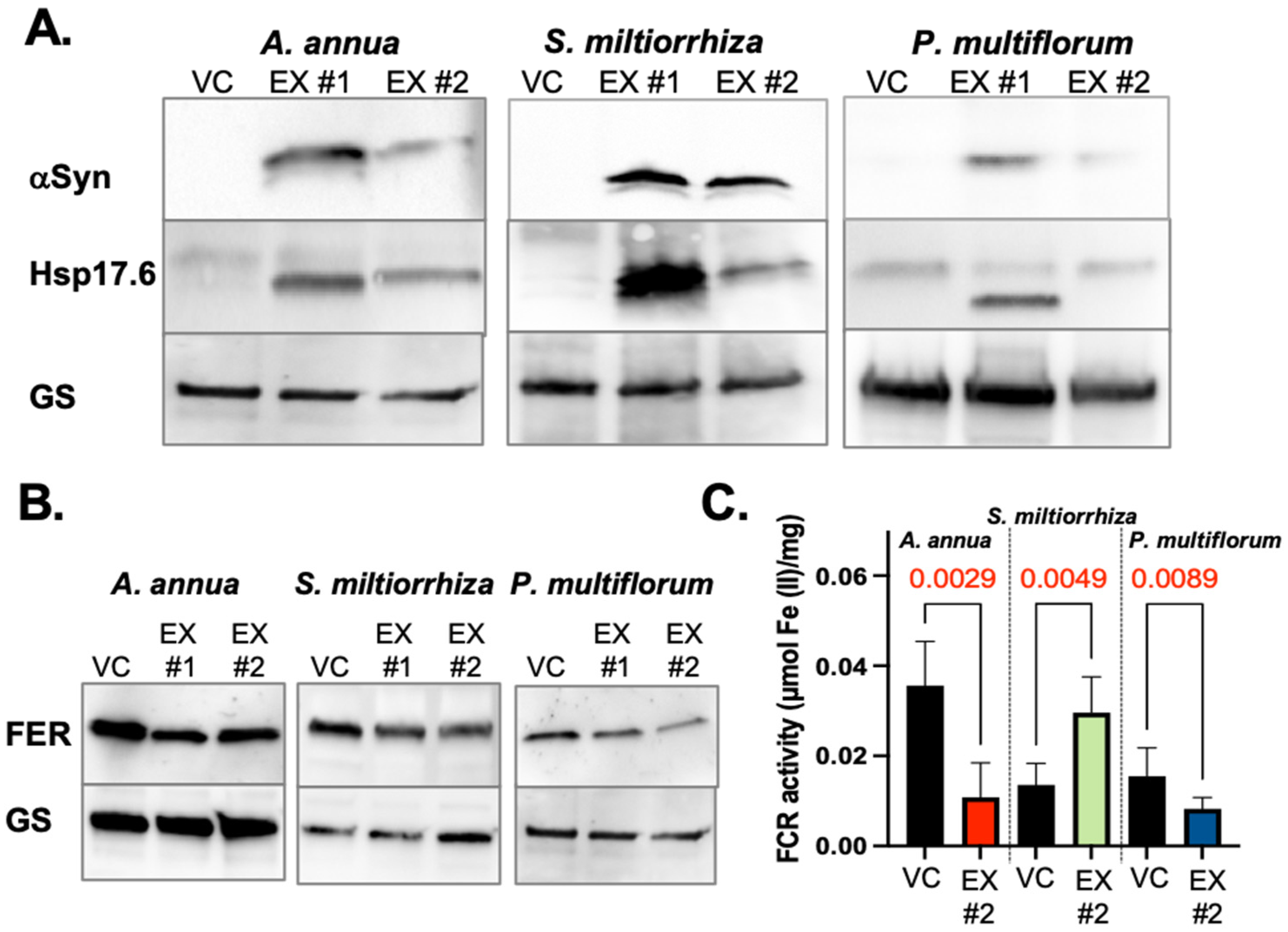 Applbiosci 03 00016 g006 Applbiosci 03 00016 g006