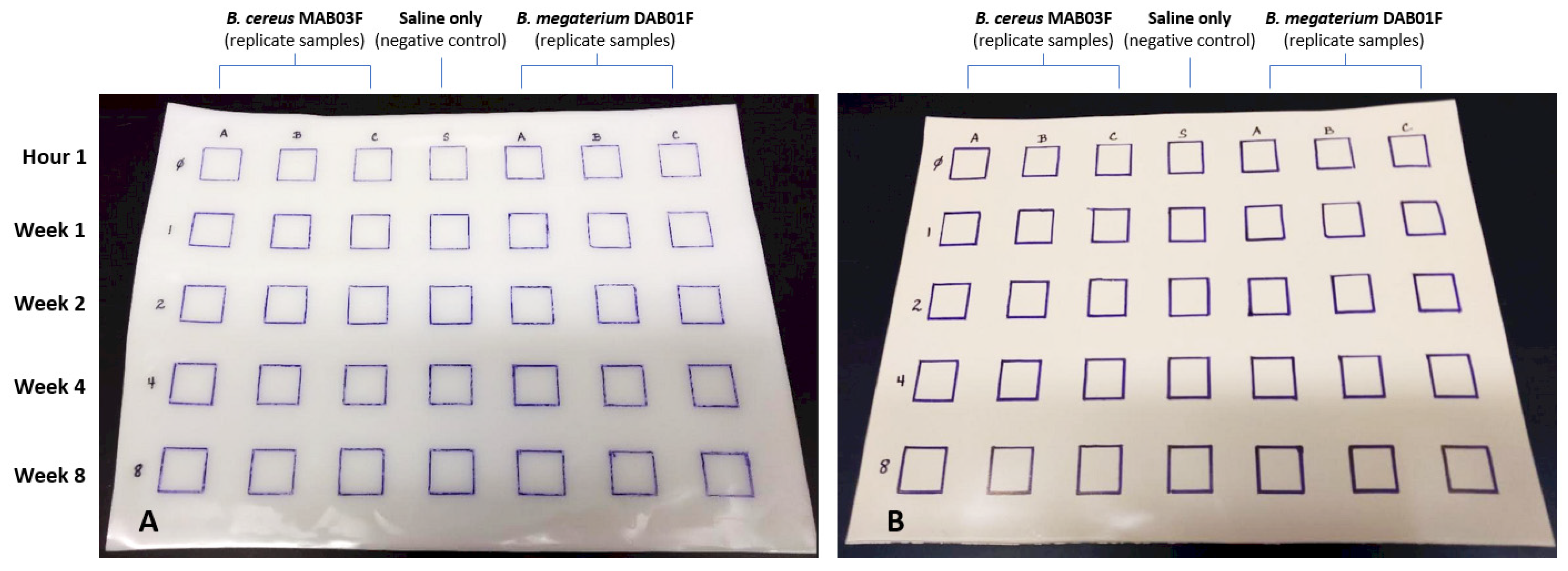 Applbiosci 03 00017 g003