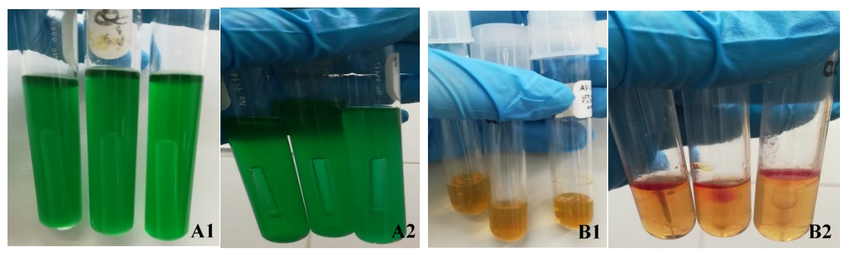 Applbiosci 03 00022 g006