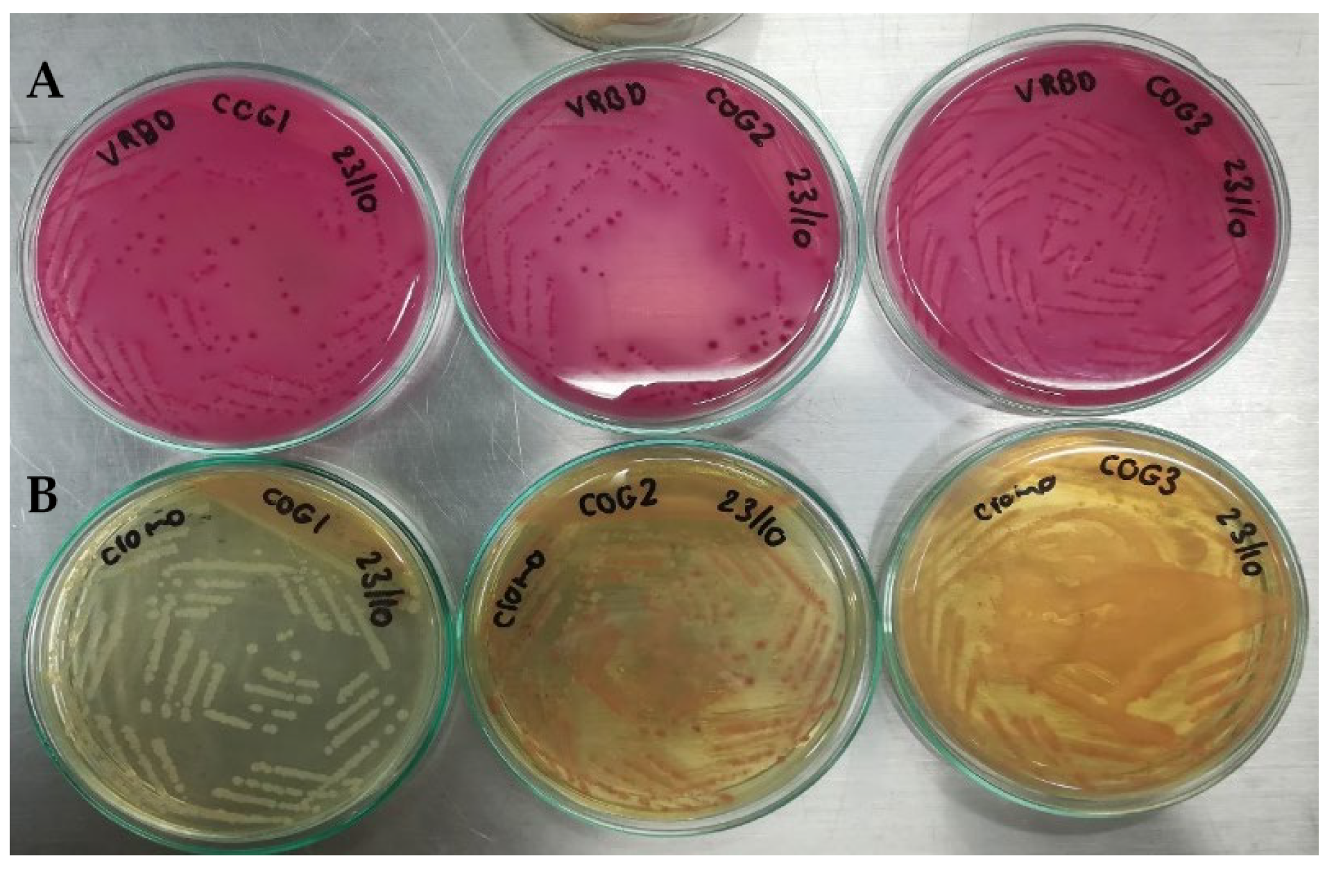 Applbiosci 03 00022 g008