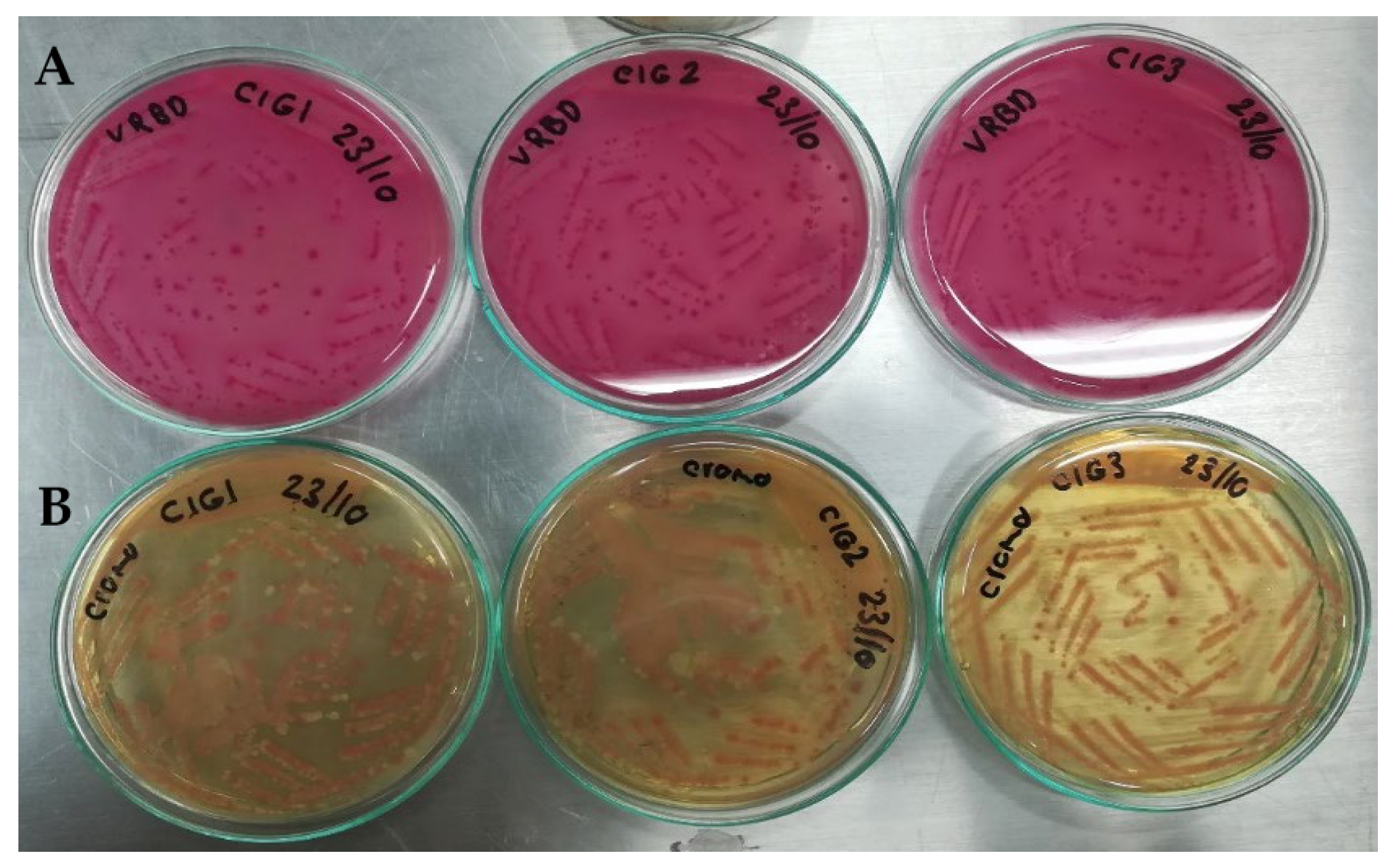 Applbiosci 03 00022 g009