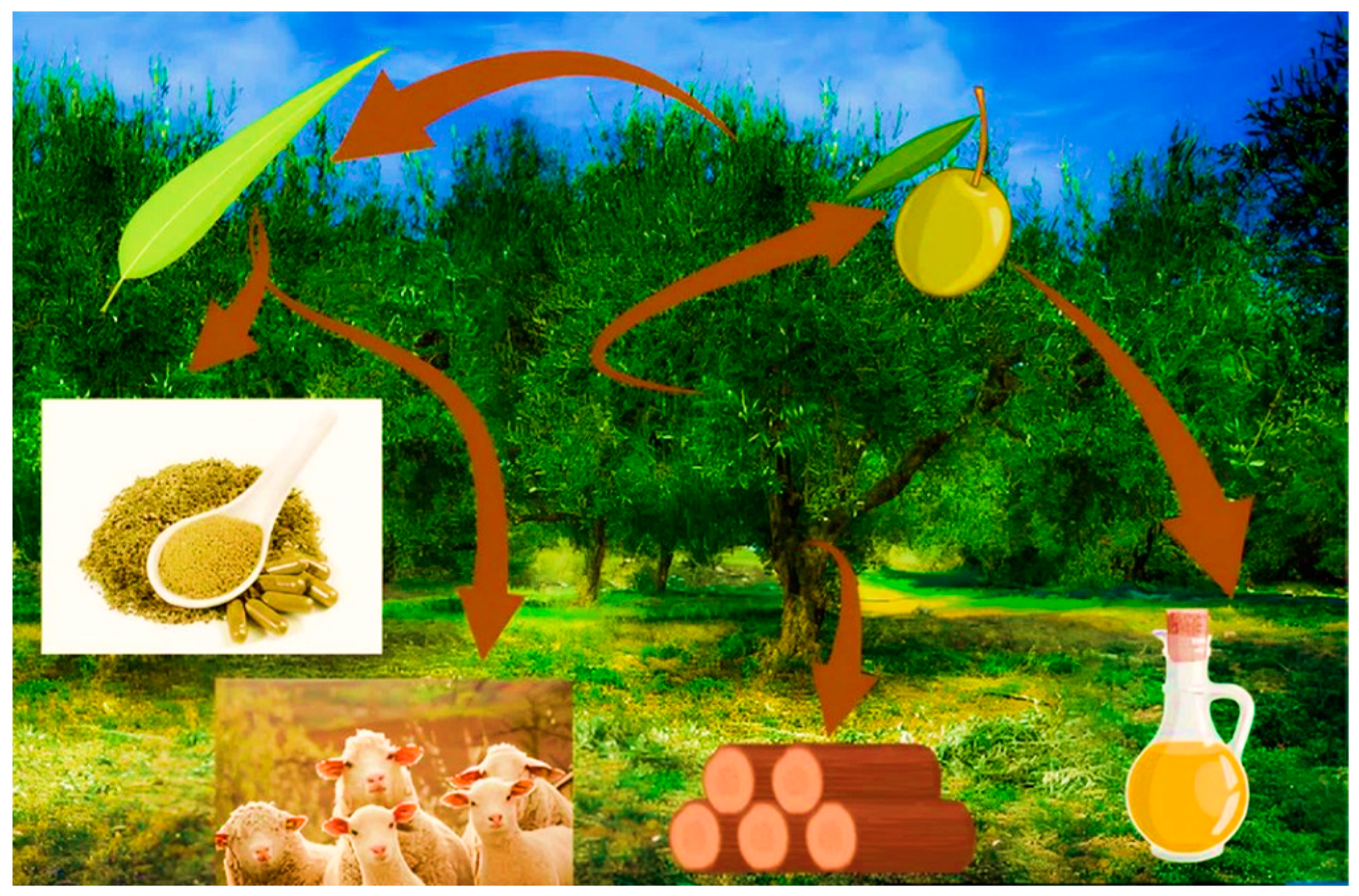 Applbiosci 03 00026 g002