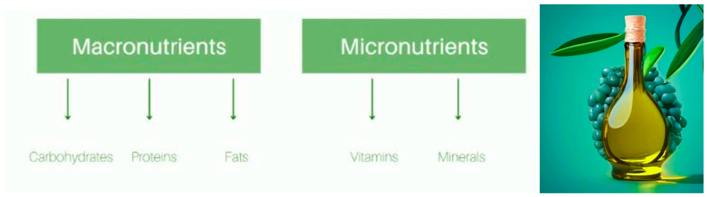 Applbiosci 03 00026 g003