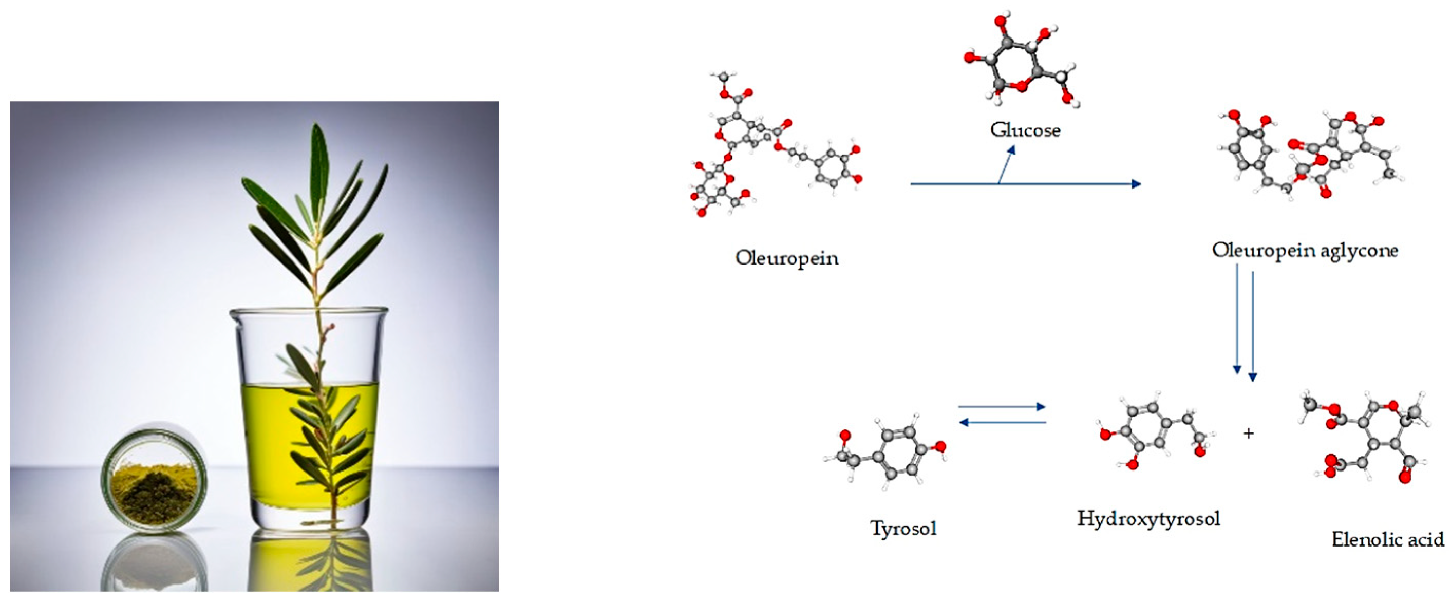 Applbiosci 03 00026 g005