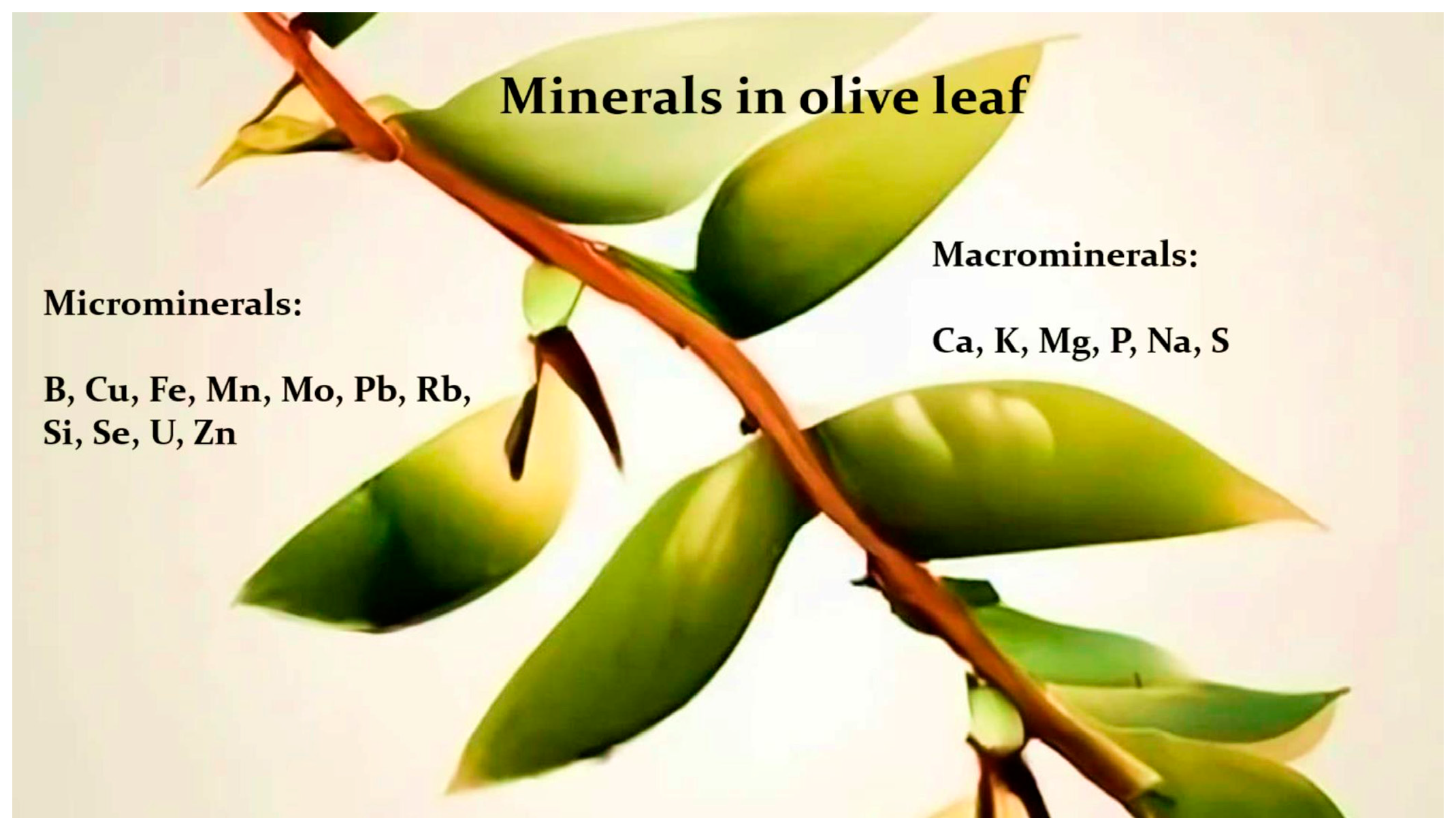 Applbiosci 03 00026 g008