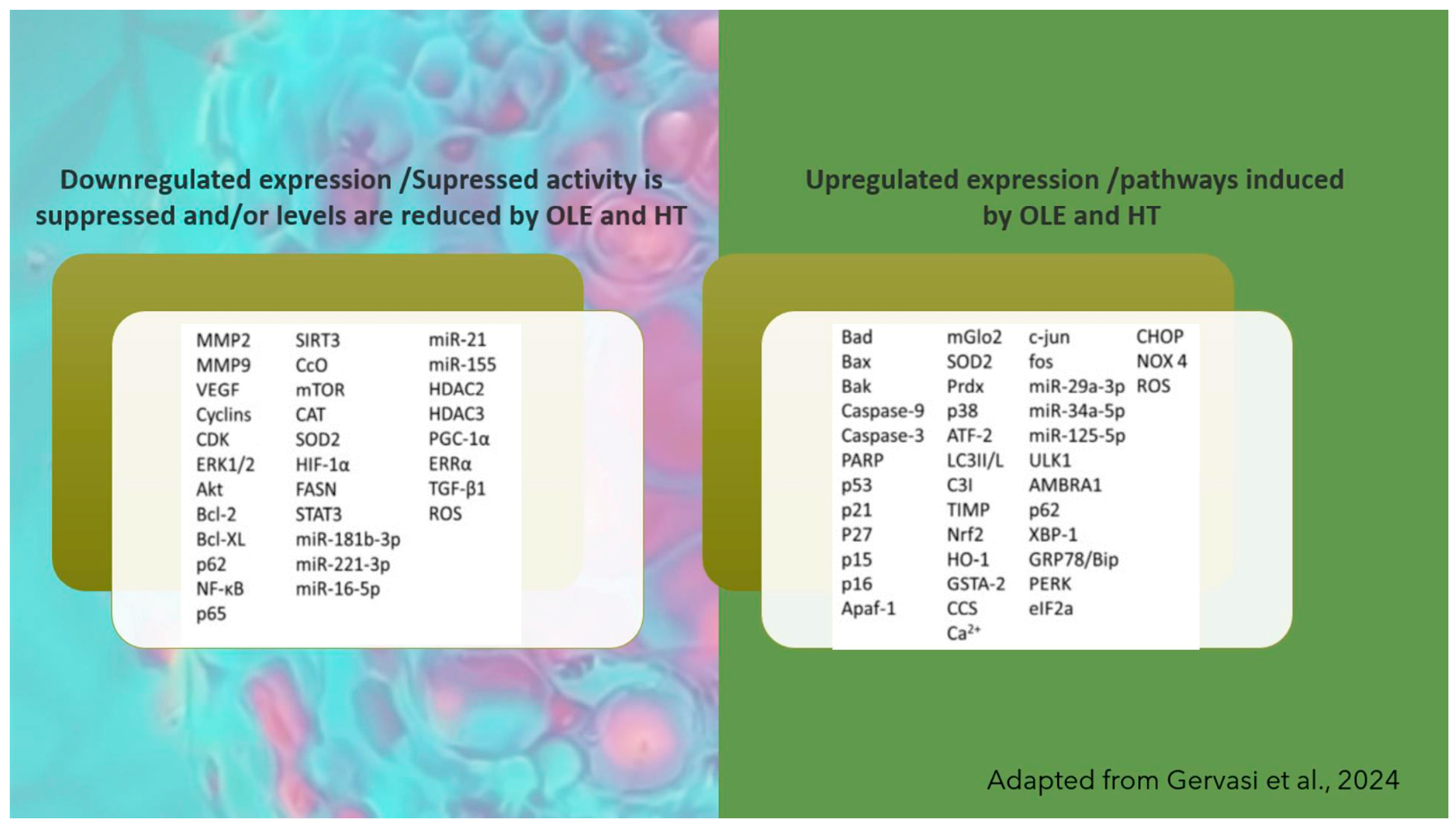 Applbiosci 03 00026 g011