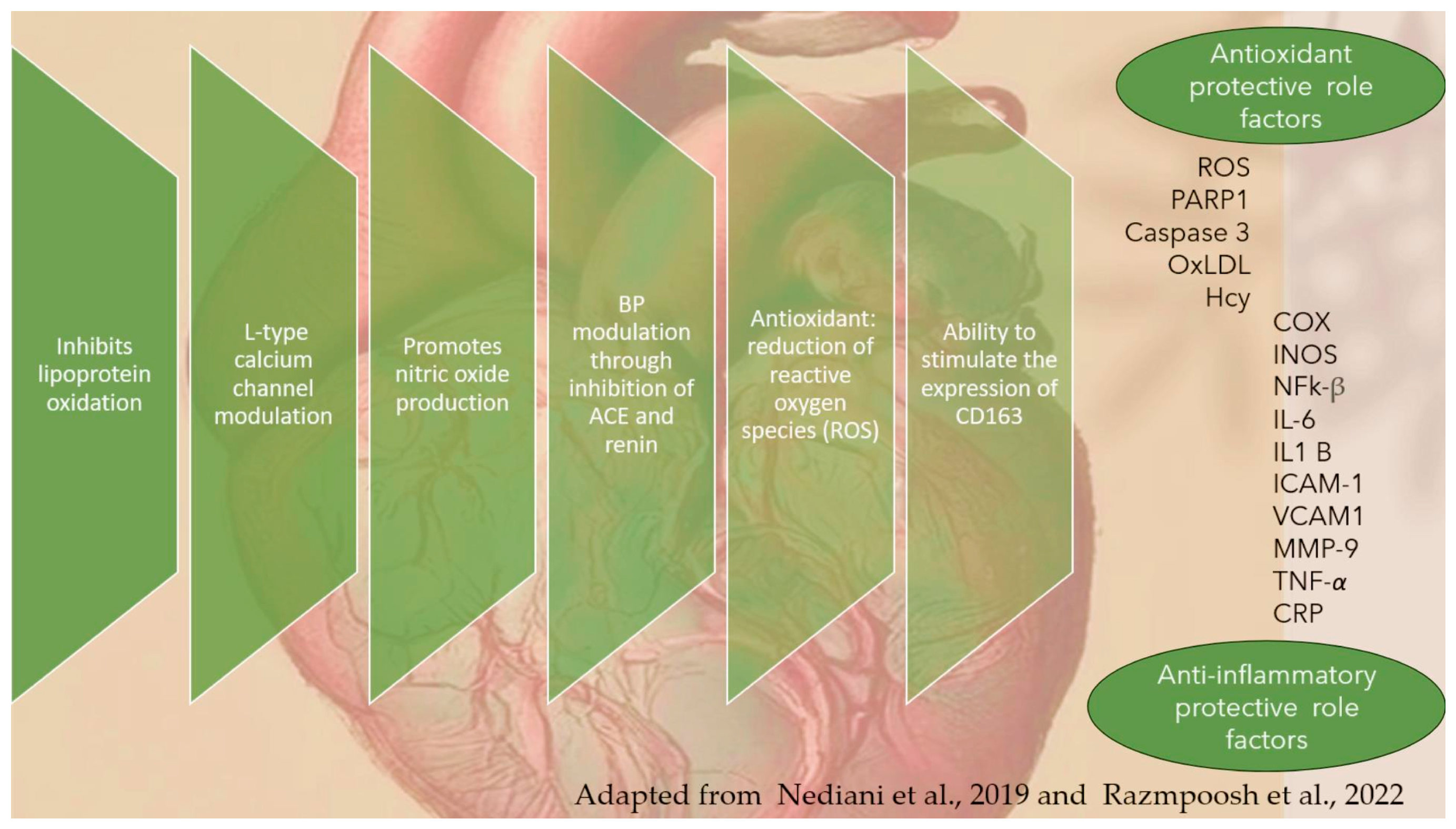 Applbiosci 03 00026 g012