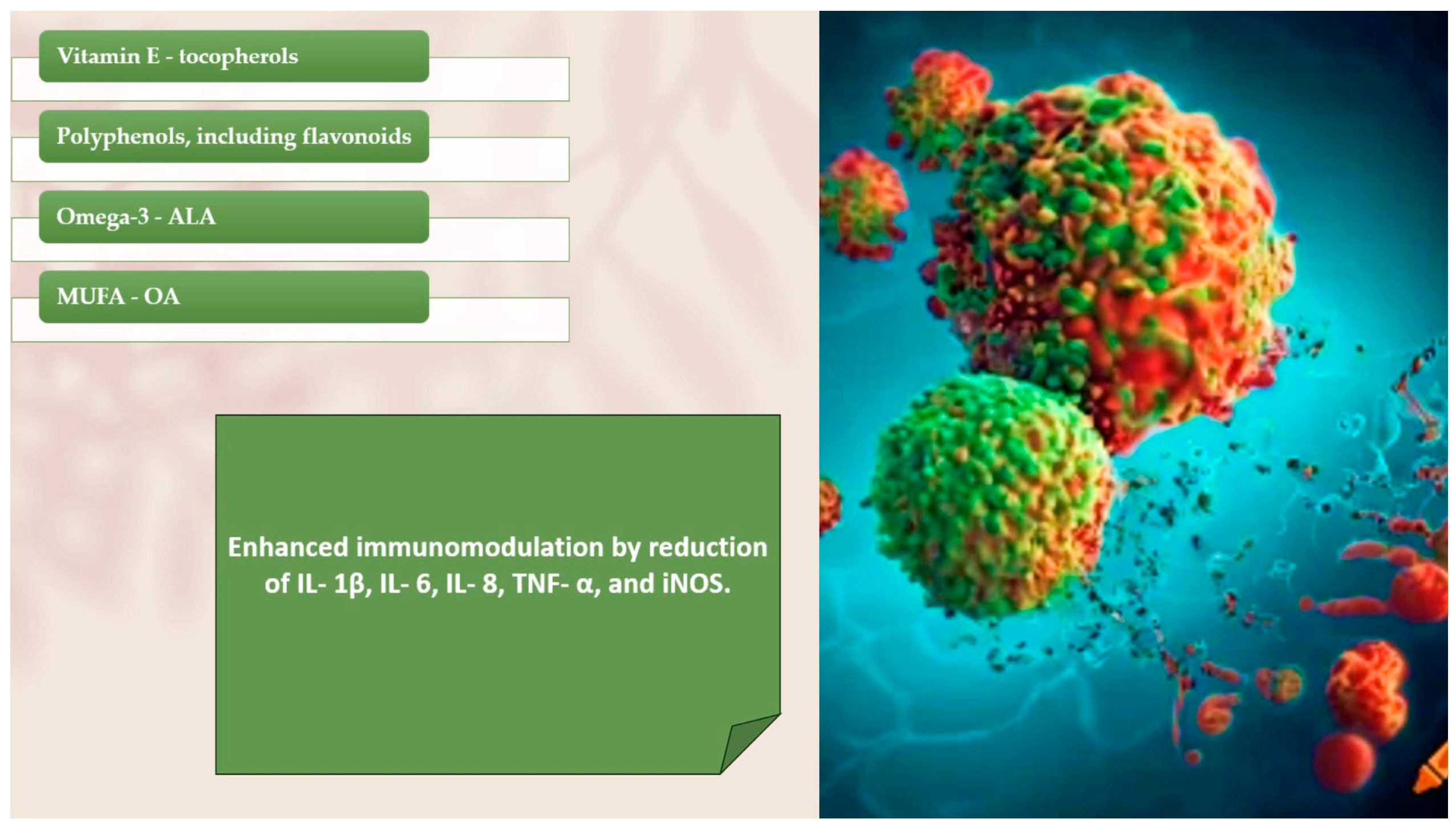 Applbiosci 03 00026 g014