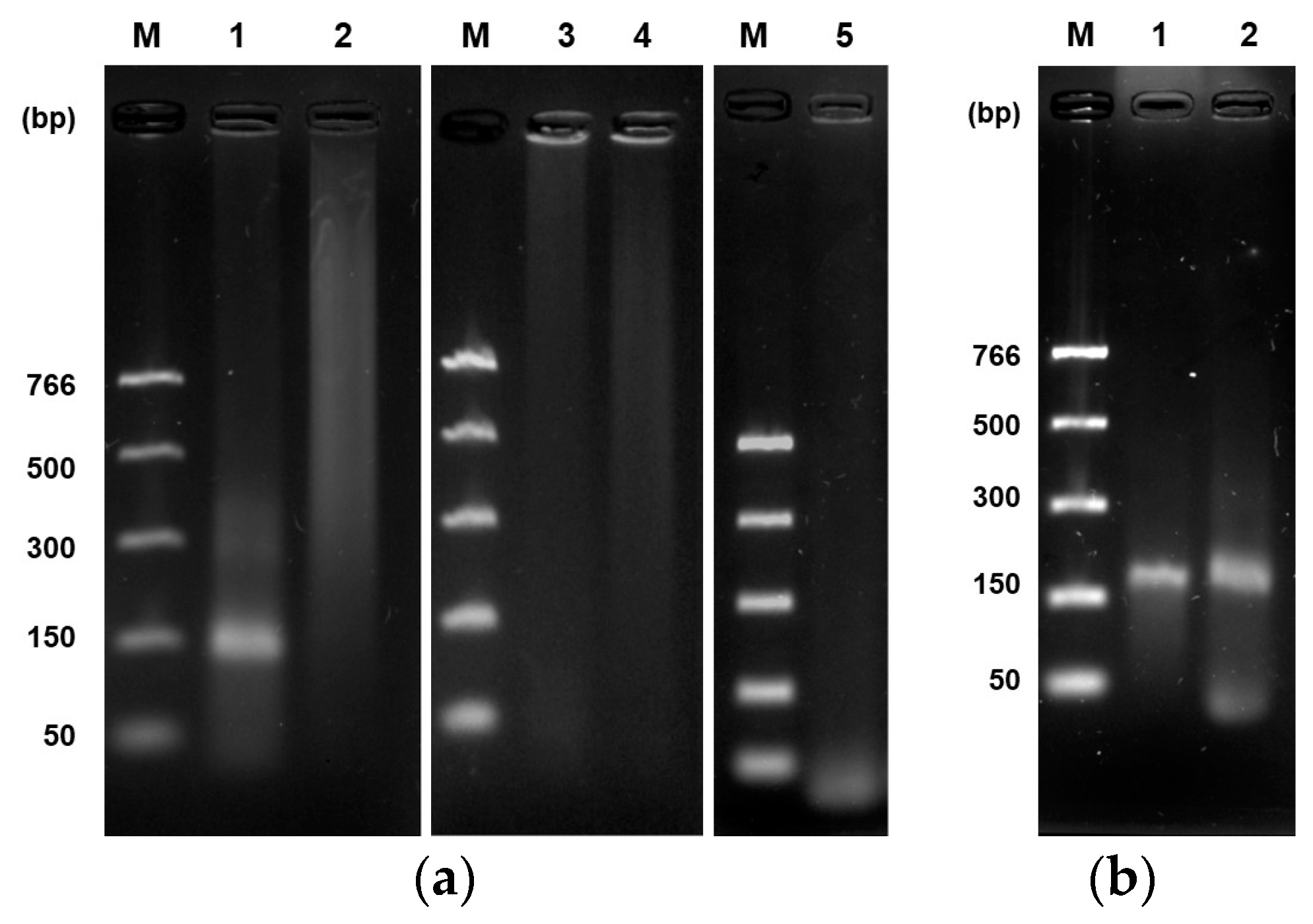 Applbiosci 03 00027 g004 Applbiosci 03 00027 g004