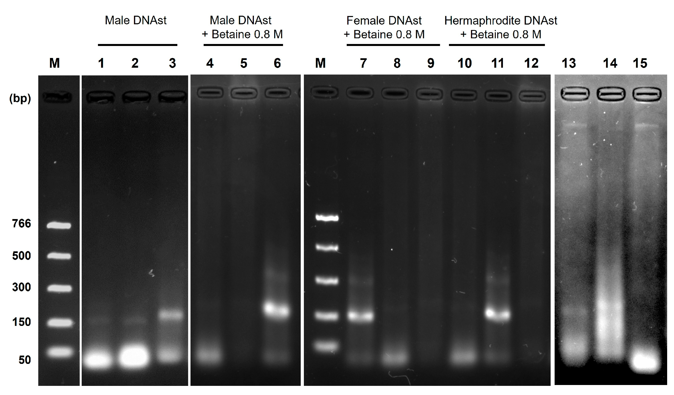 Applbiosci 03 00027 g005 Applbiosci 03 00027 g005