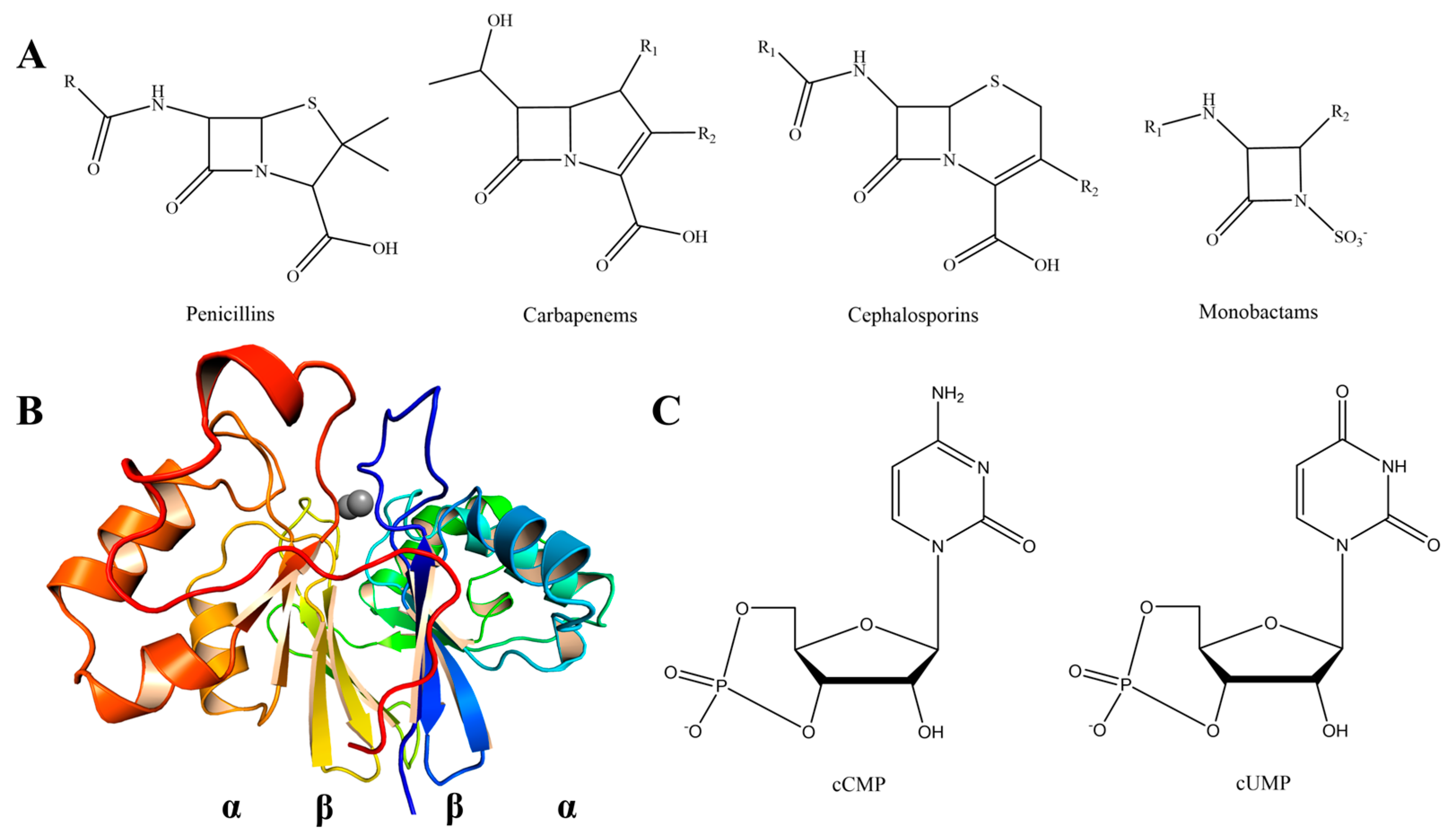 Applbiosci 03 00028 g001