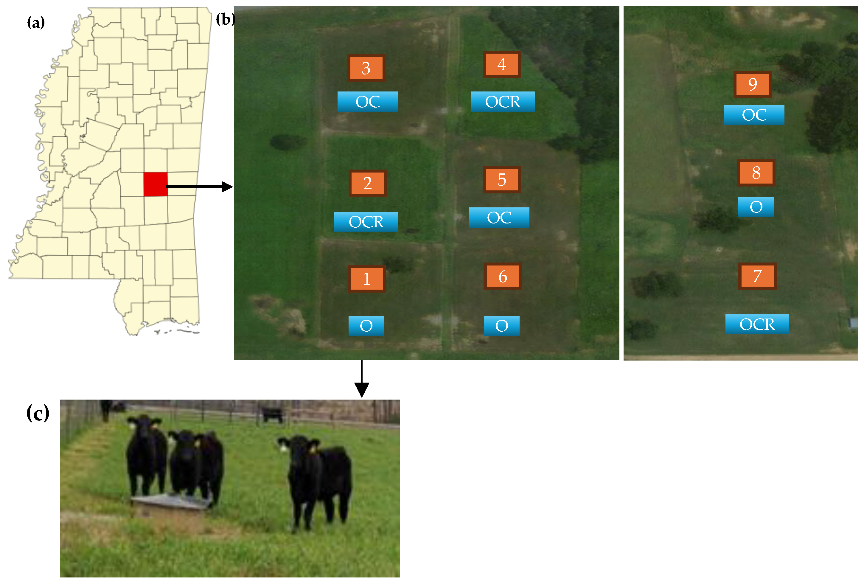 Applbiosci 03 00031 g001