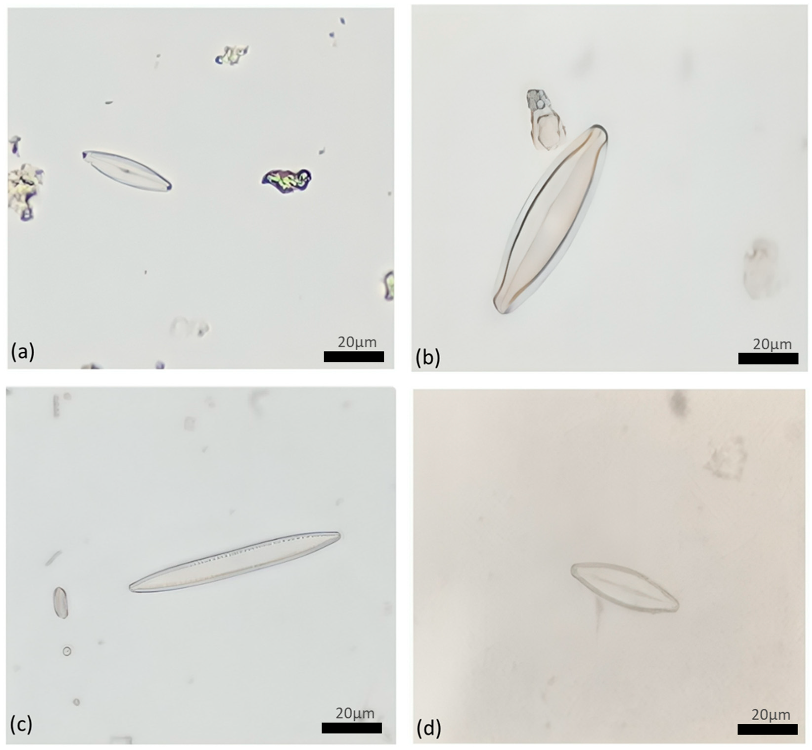 Applbiosci 03 00033 g005