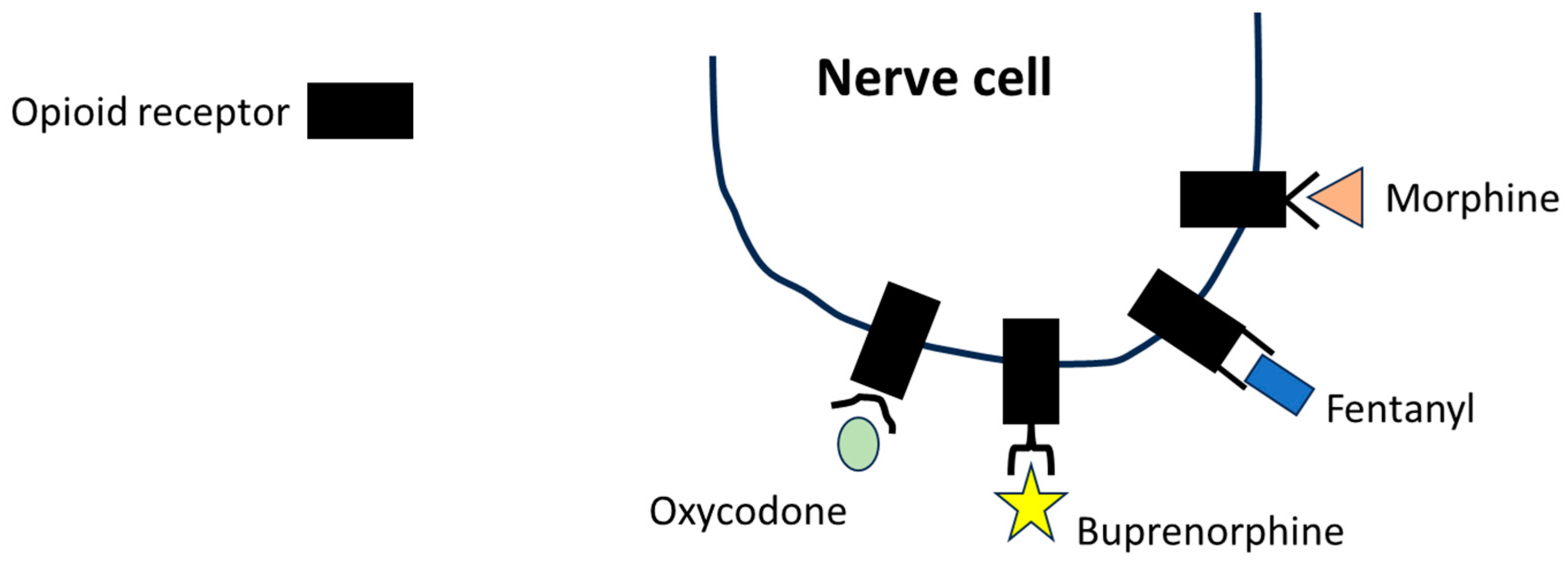 Applbiosci 04 00003 g002