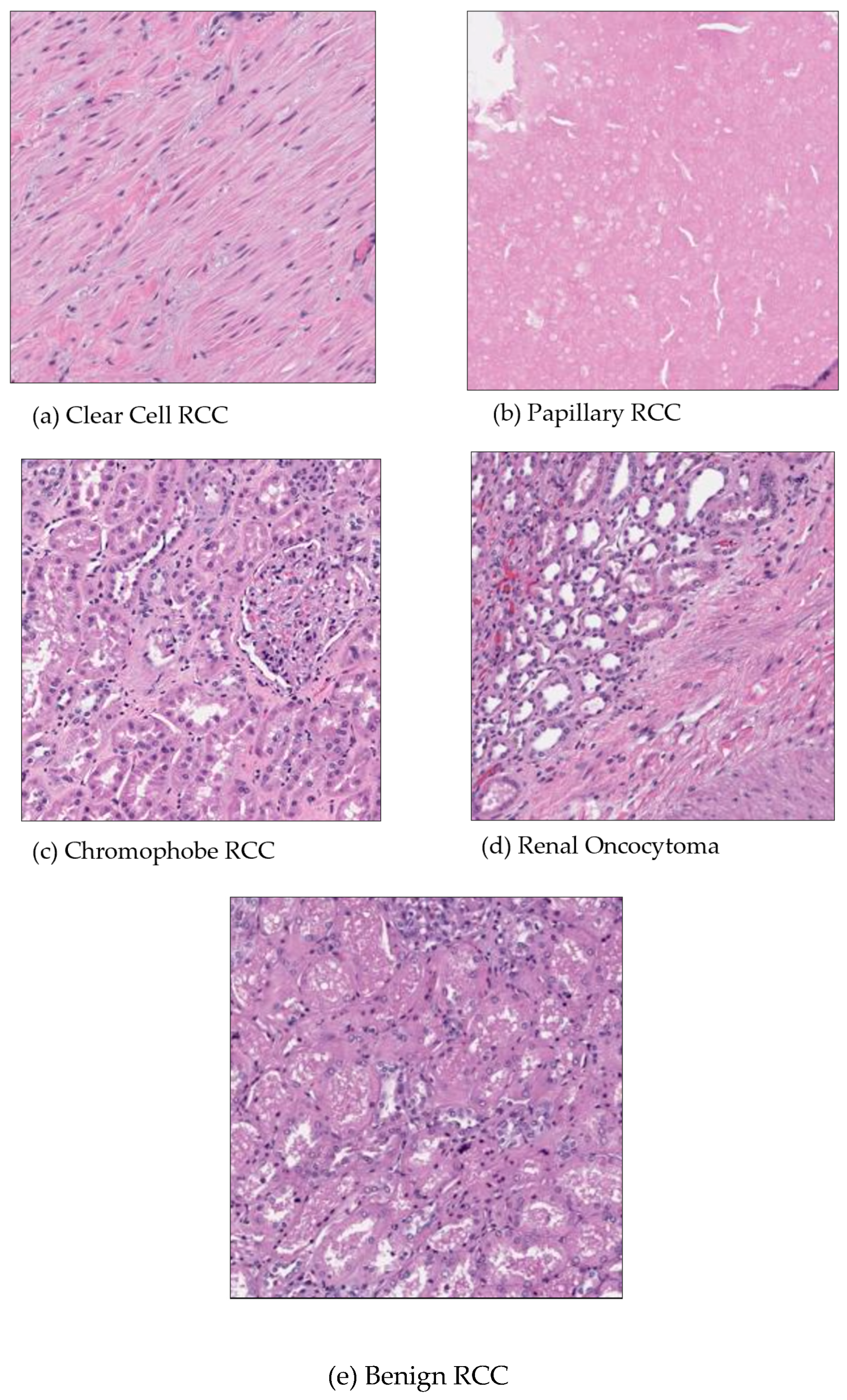 Applbiosci 04 00008 g001