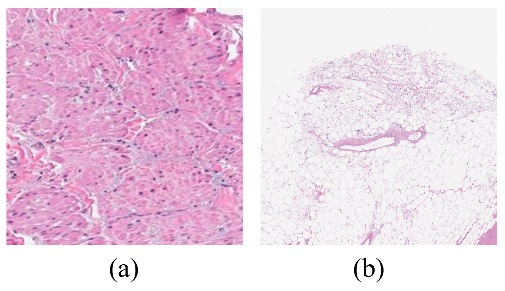 Applbiosci 04 00008 g003