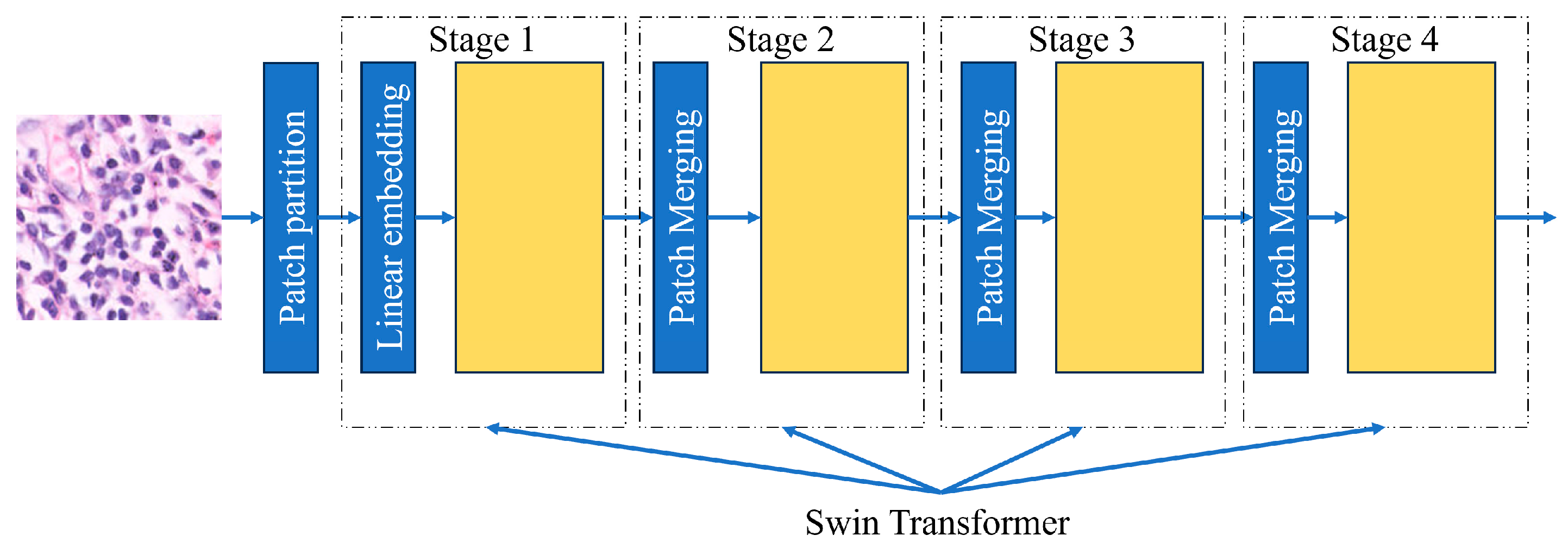 Applbiosci 04 00008 g009