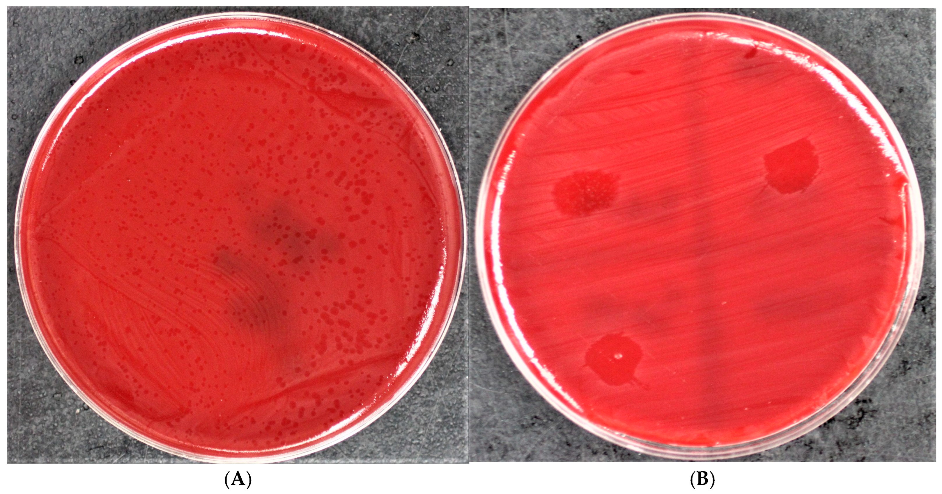 Applbiosci 04 00010 g001 Applbiosci 04 00010 g001