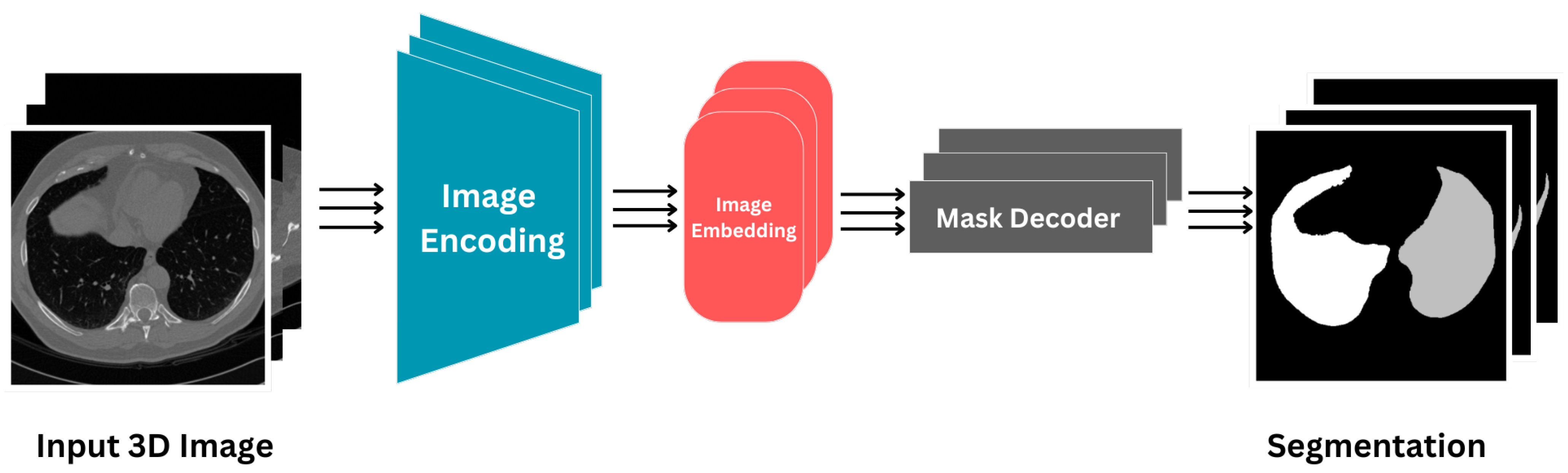 Applbiosci 04 00011 g002