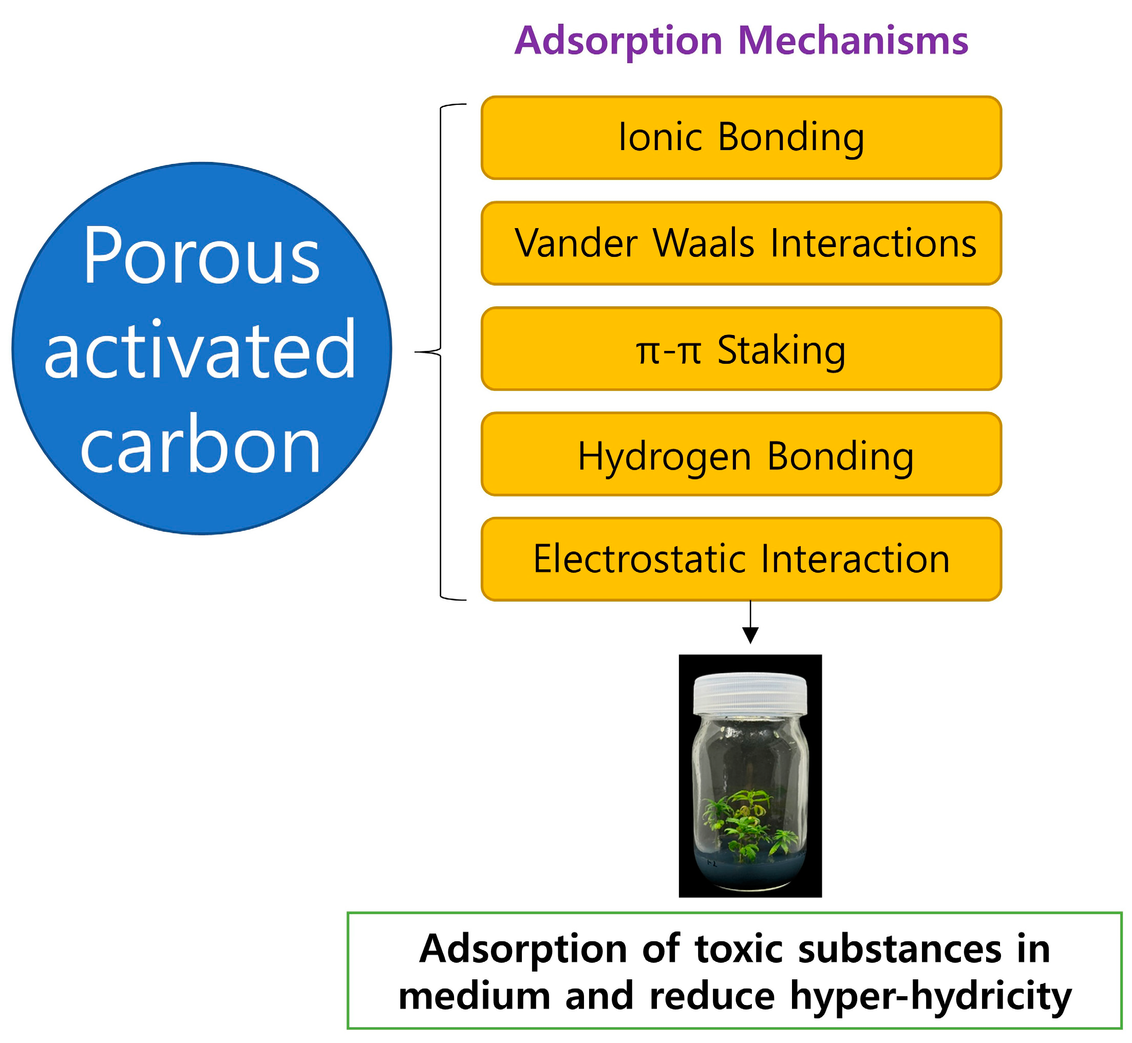 Applbiosci 04 00012 g004