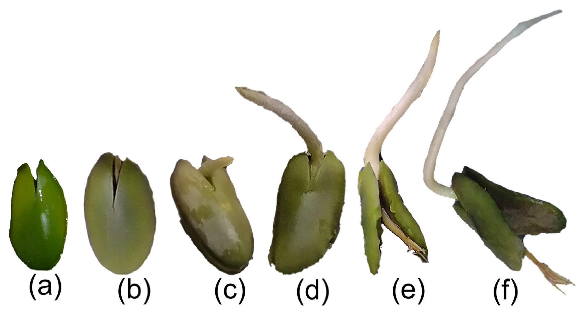 Applbiosci 04 00015 g002