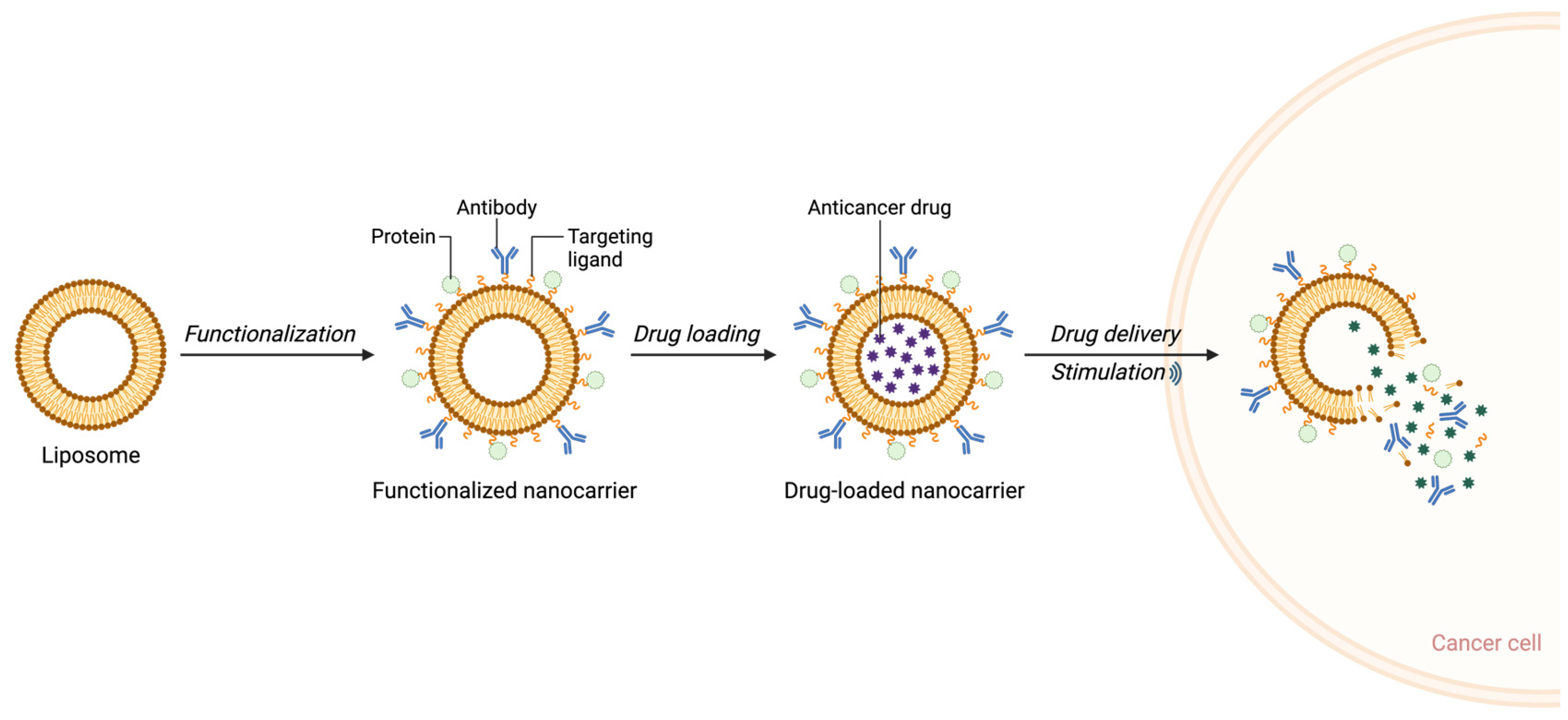 Applbiosci 04 00016 g002